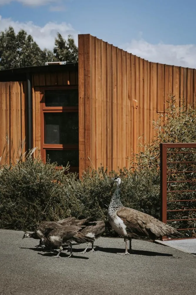 Property building in Iron Creek Bay Estate