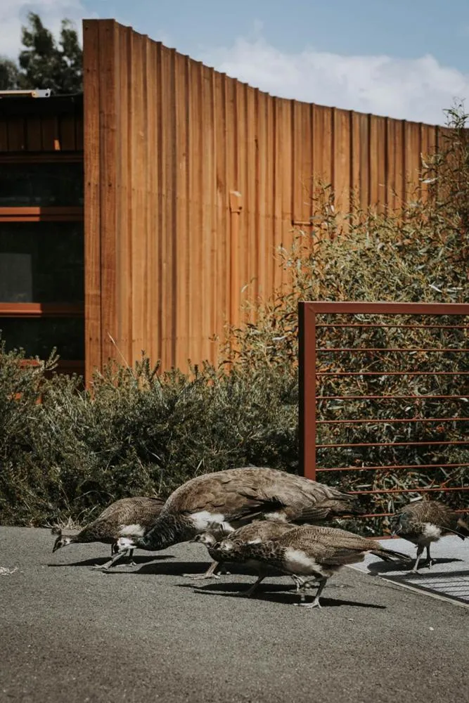 Animals in Iron Creek Bay Estate