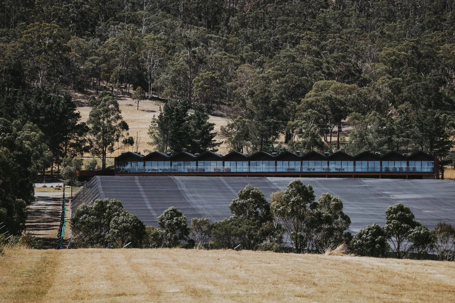 Natural landscape in Iron Creek Bay Estate