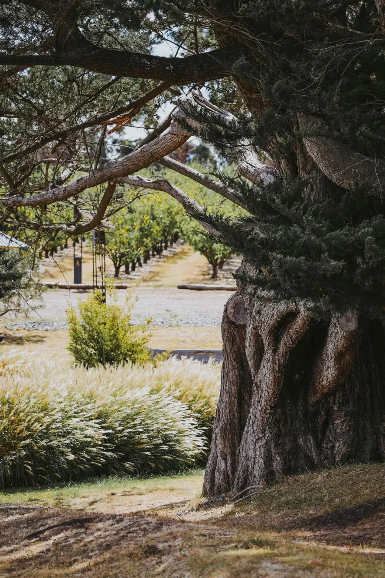 Property building in Iron Creek Bay Estate Property building in Iron Creek Bay Estate