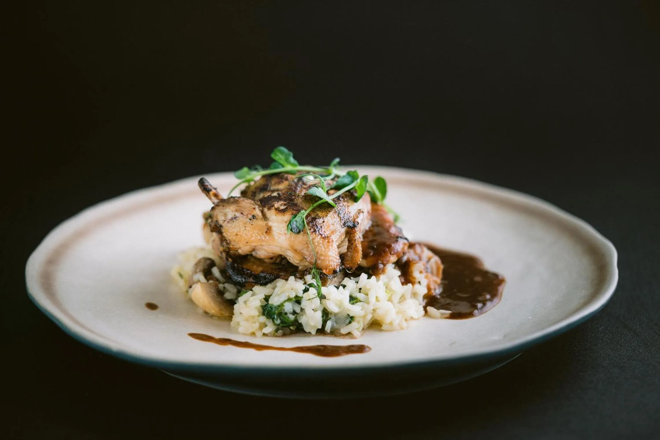 Lunch in Ecozy Dijiwa Canggu