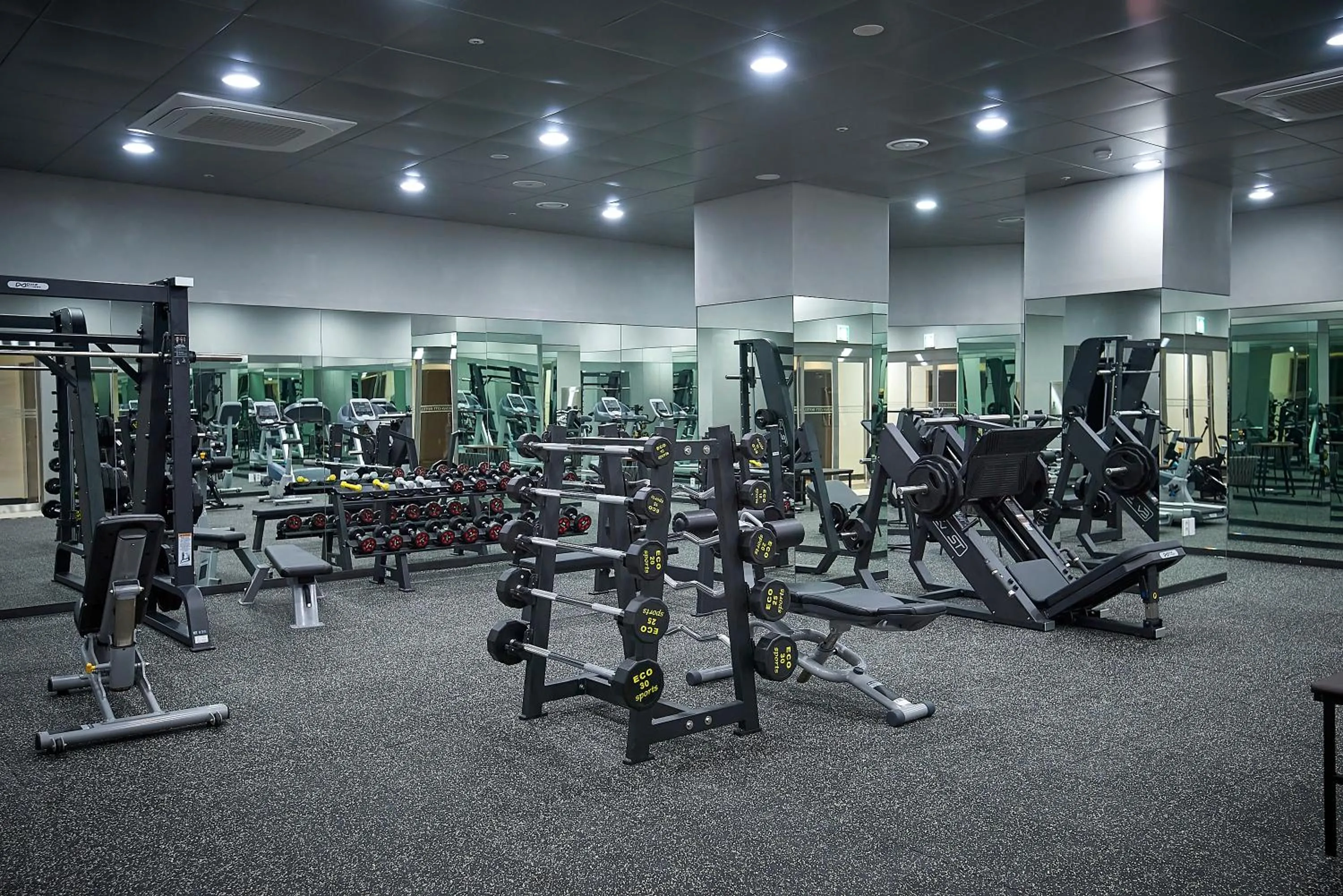 Fitness centre/facilities in Busan City Hotel