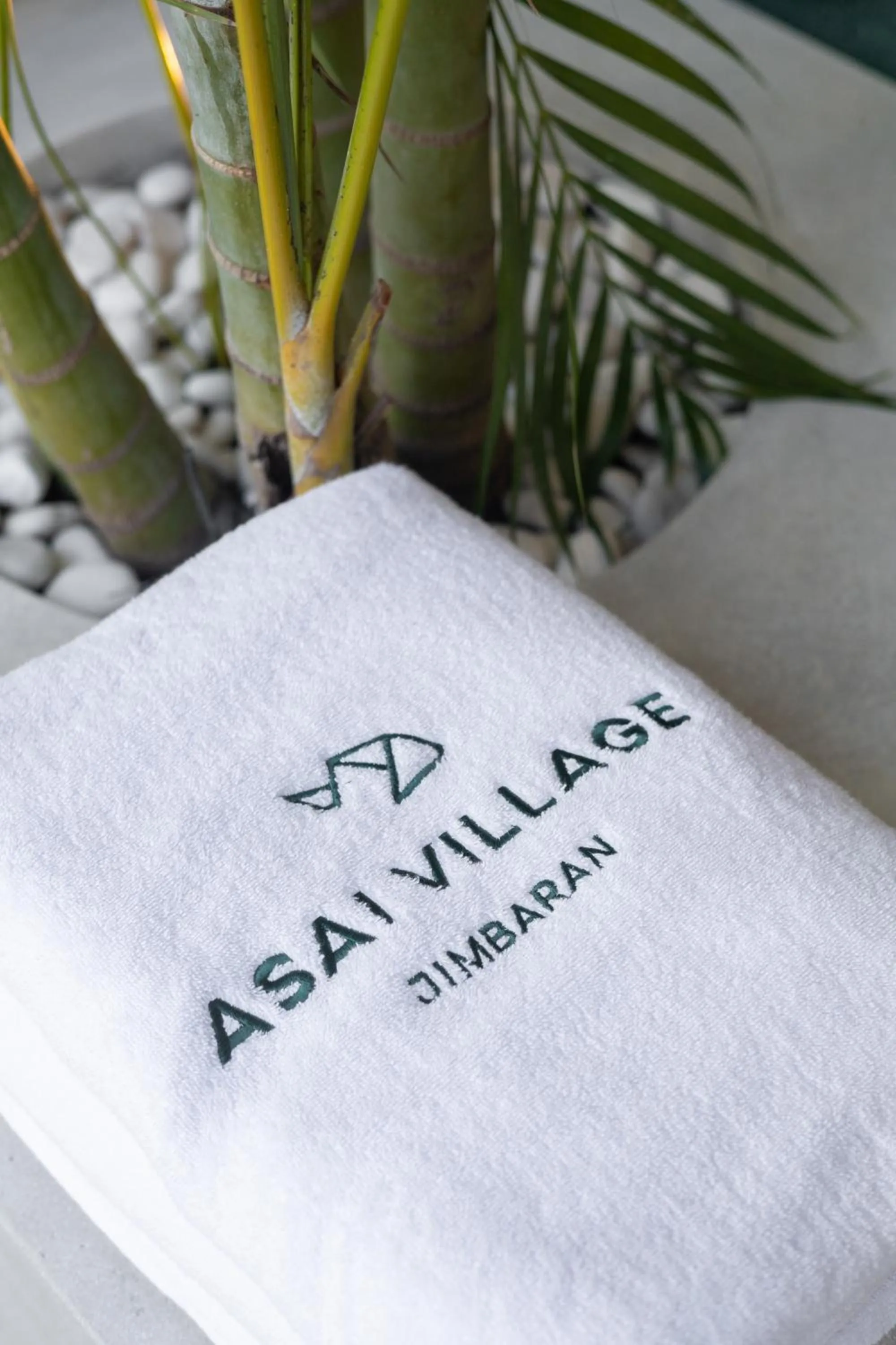 Text overlay in ASAI Village