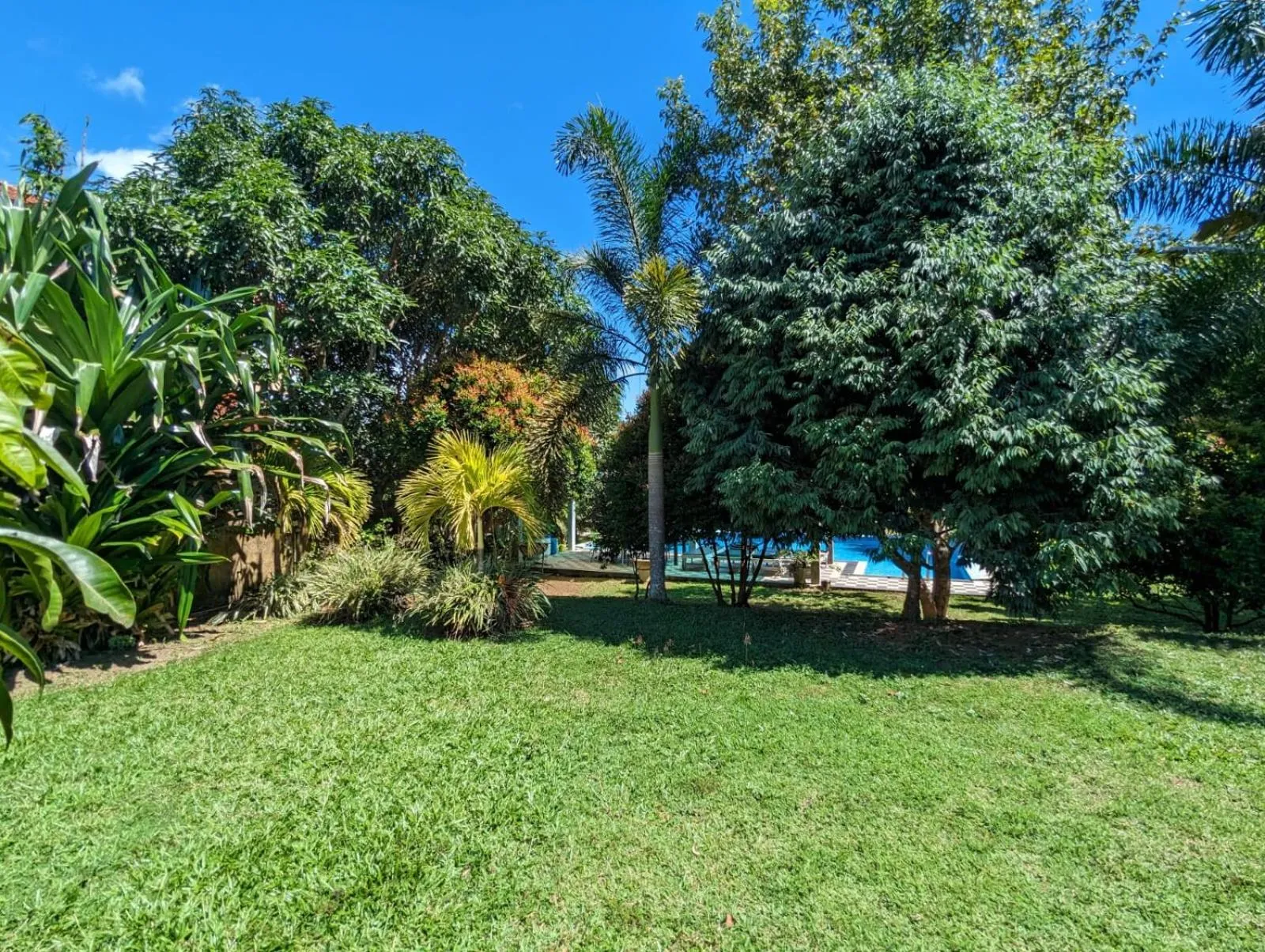 Garden in Green View Villa