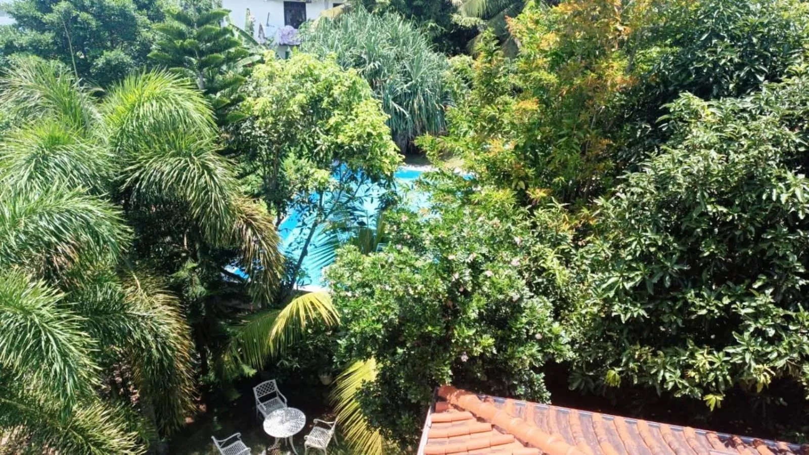 Garden view in Green View Villa