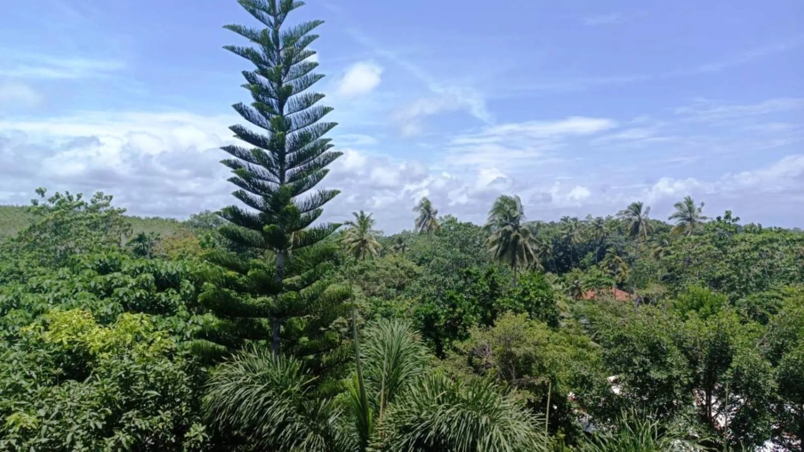 View (from property/room) in Green View Villa