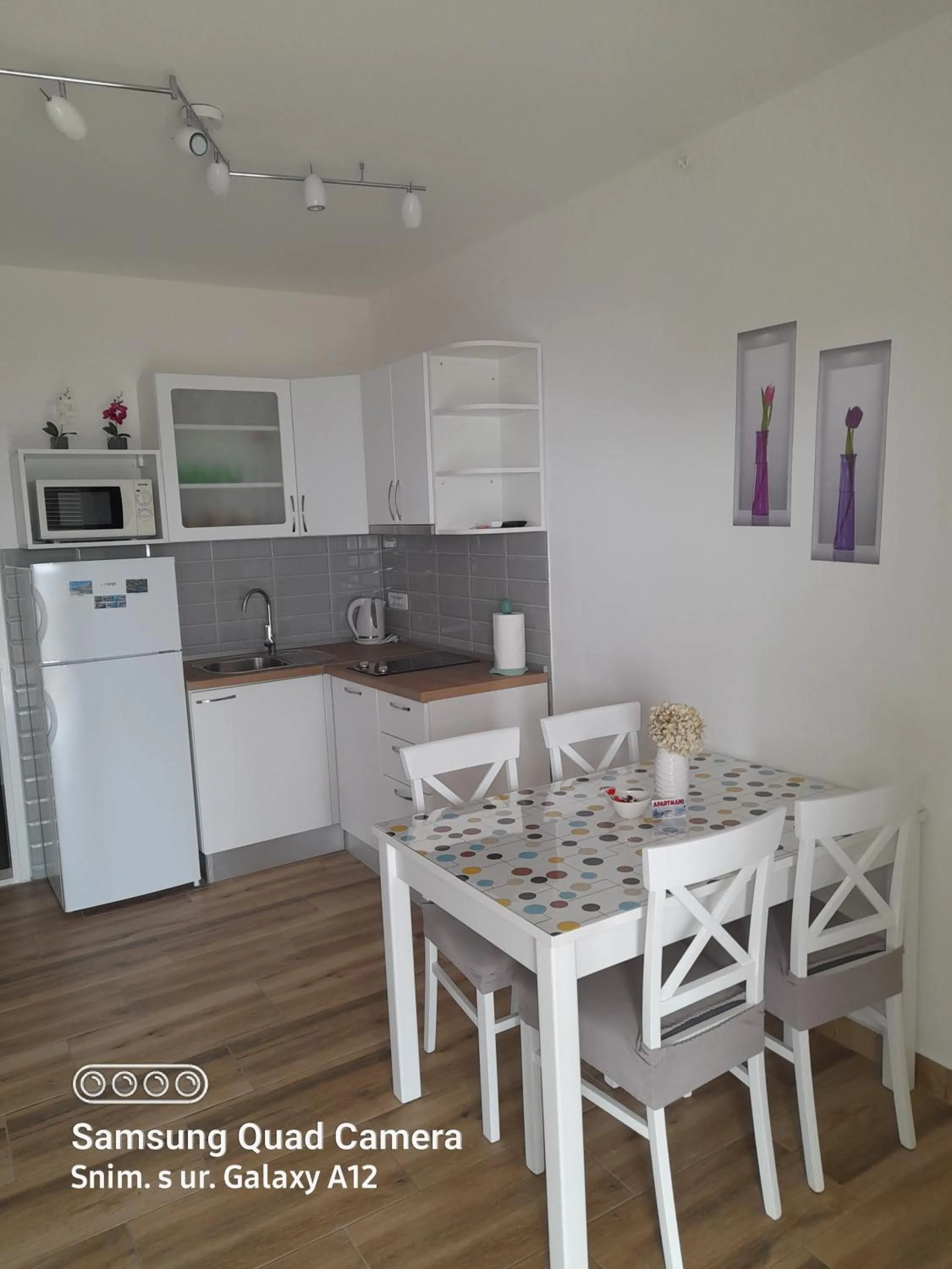 Kitchen or kitchenette in Apartments Dobrila