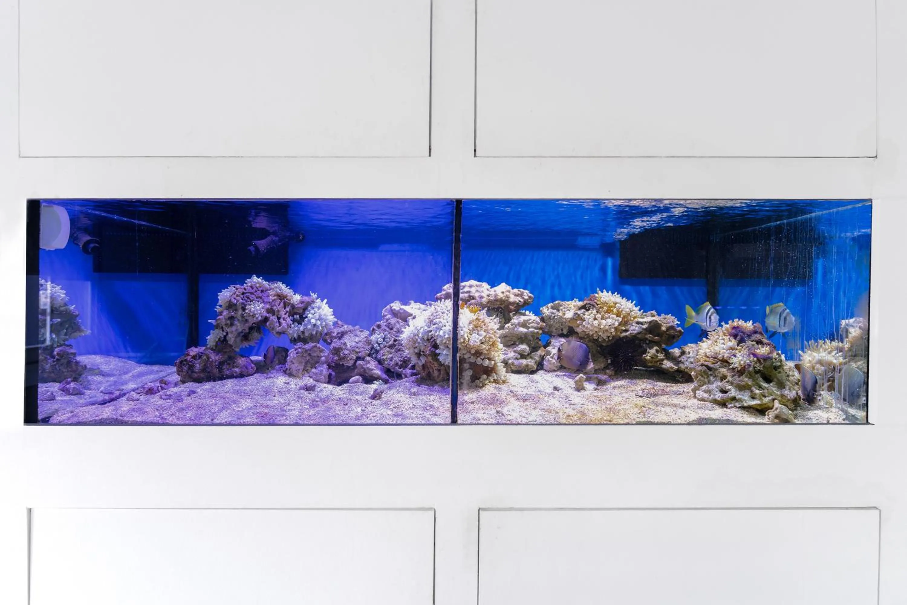 Entertainment in Voco Dubai Monaco, The Heart of Europe by IHG-Adult only