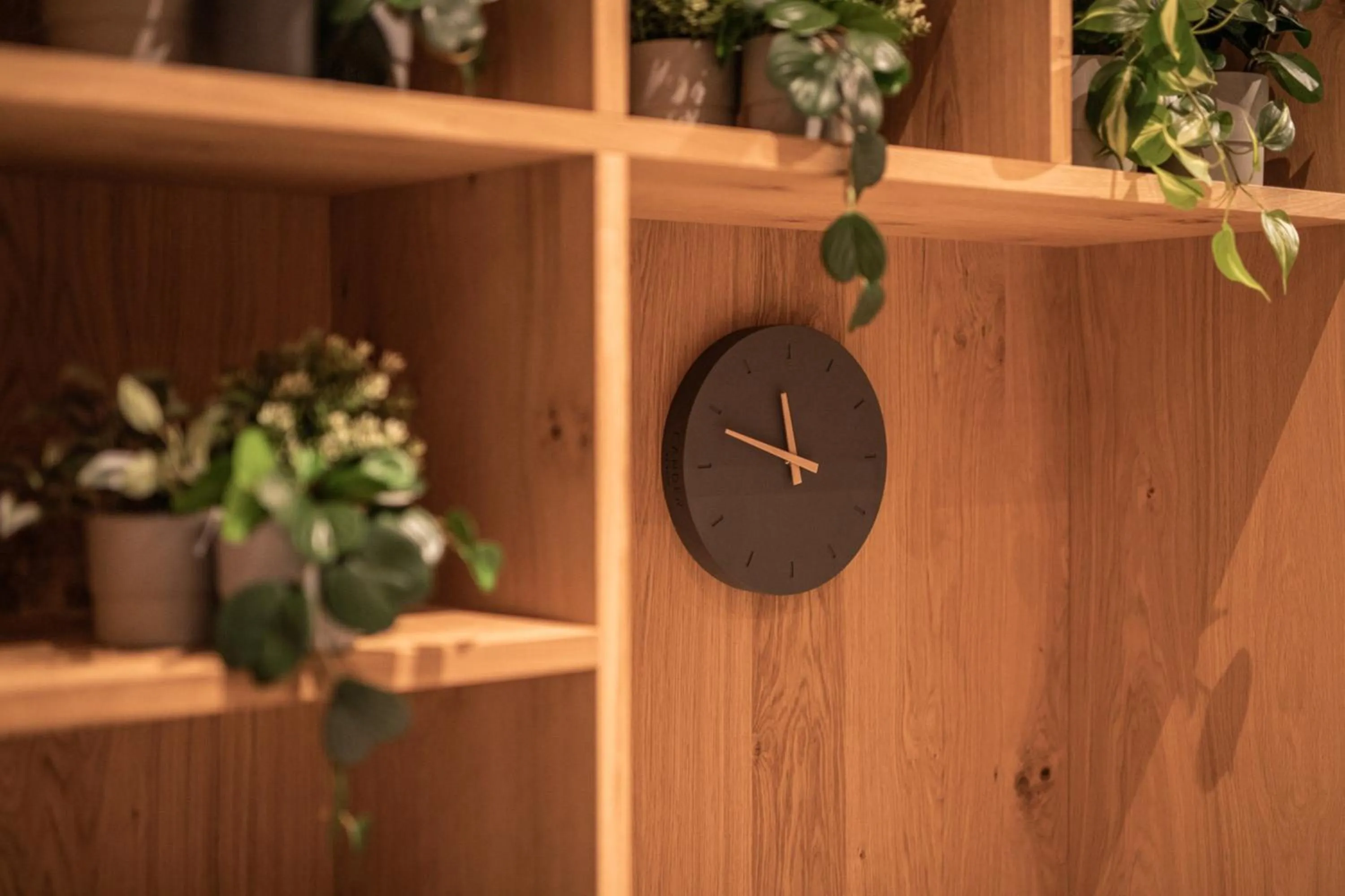 Spa and wellness centre/facilities in Hotel Arlmont 4 Stern Superior