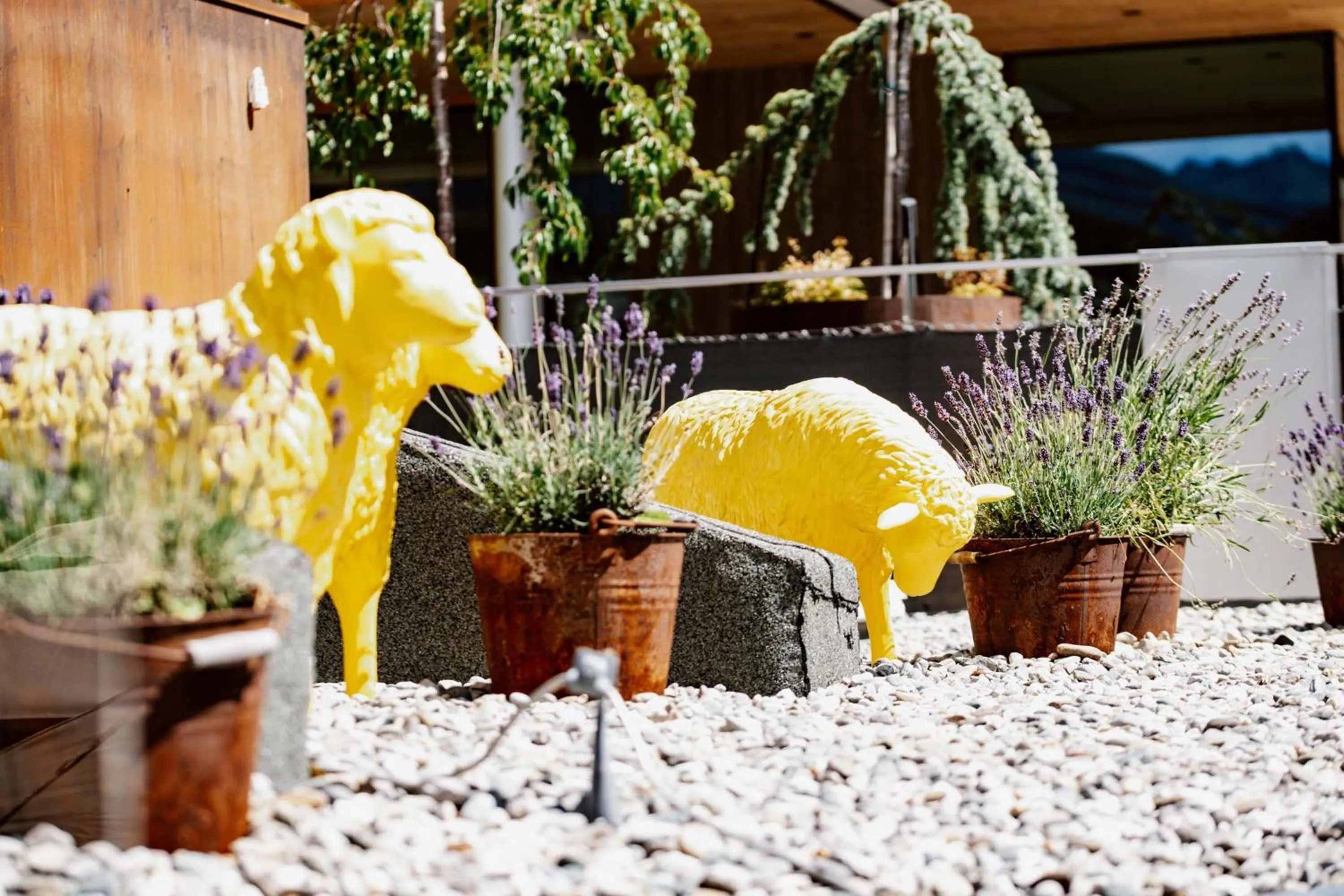 Property building in Hotel Arlmont 4 Stern Superior