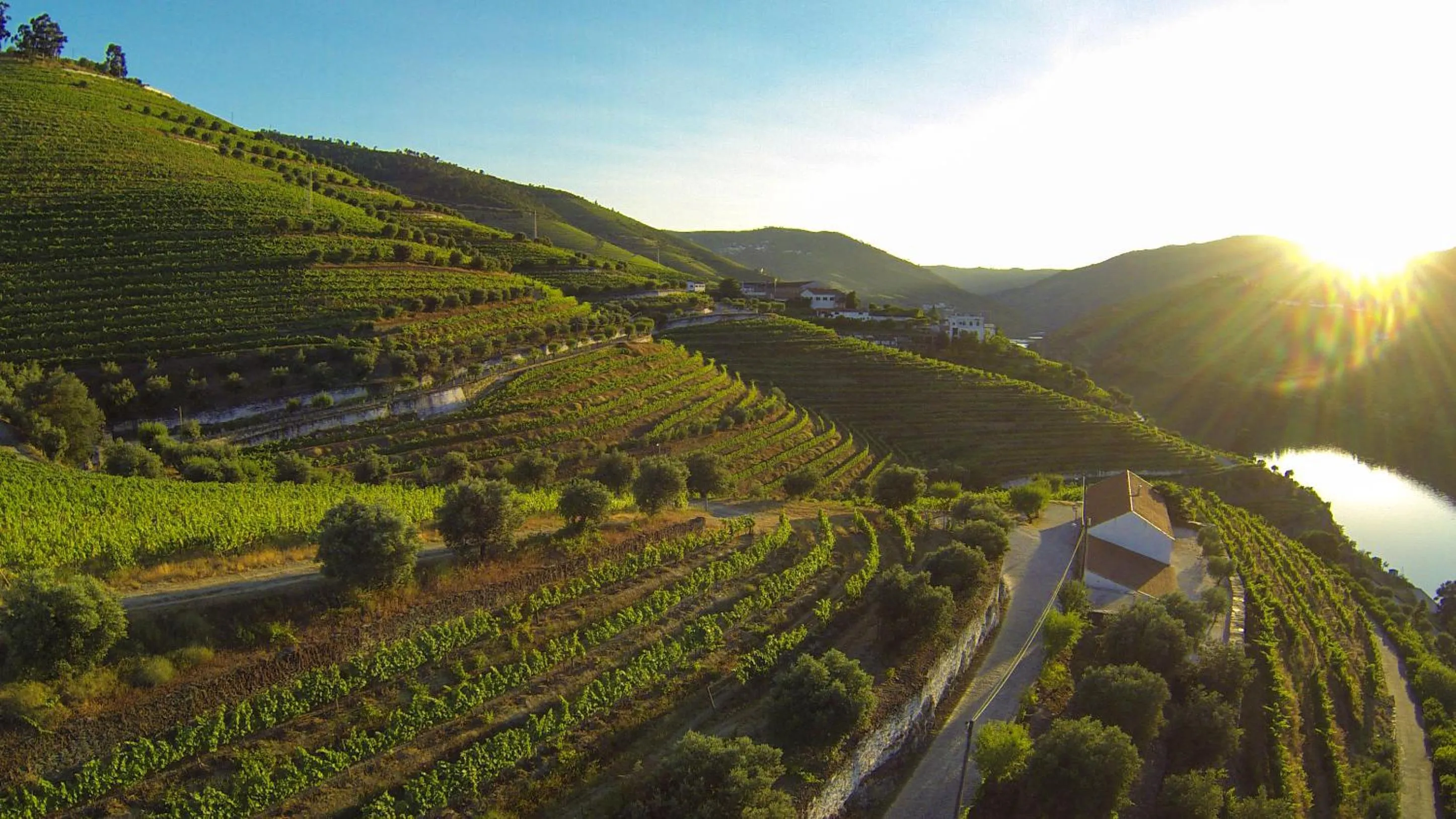 Natural landscape in Quinta São Luiz The Vine House Douro