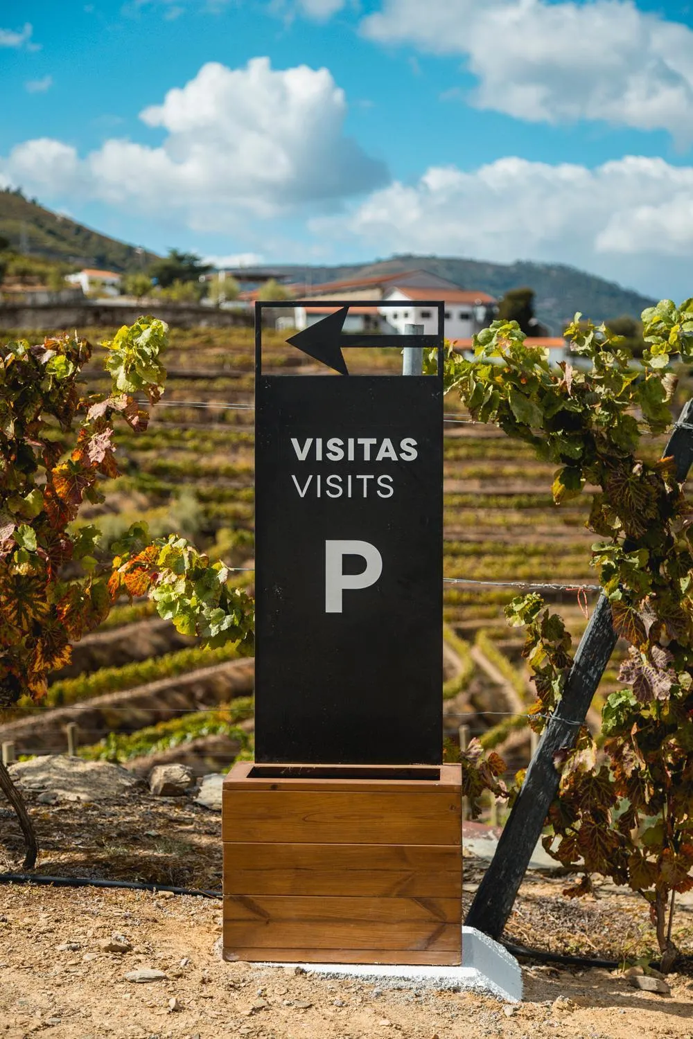 Property logo or sign in Quinta São Luiz The Vine House Douro