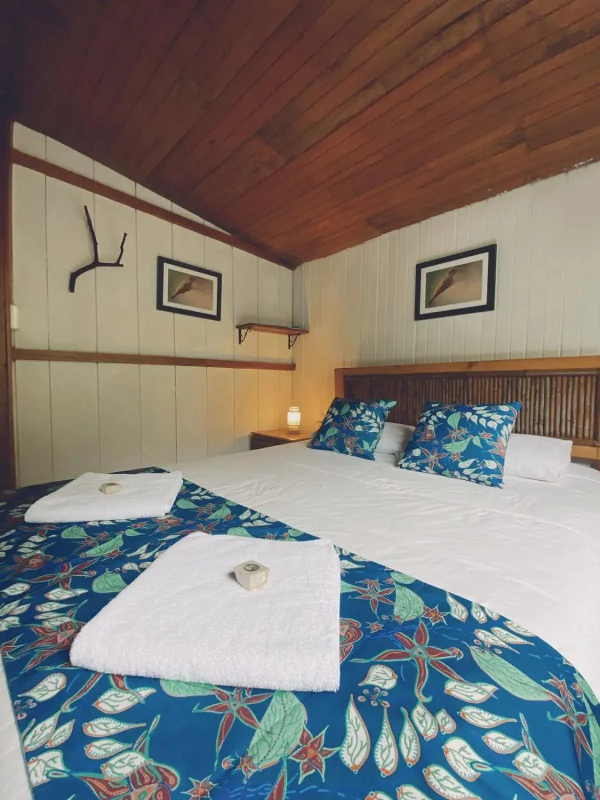 Double Room in Hotel El Abrazo del Arbol Double Room in Hotel El Abrazo del Arbol