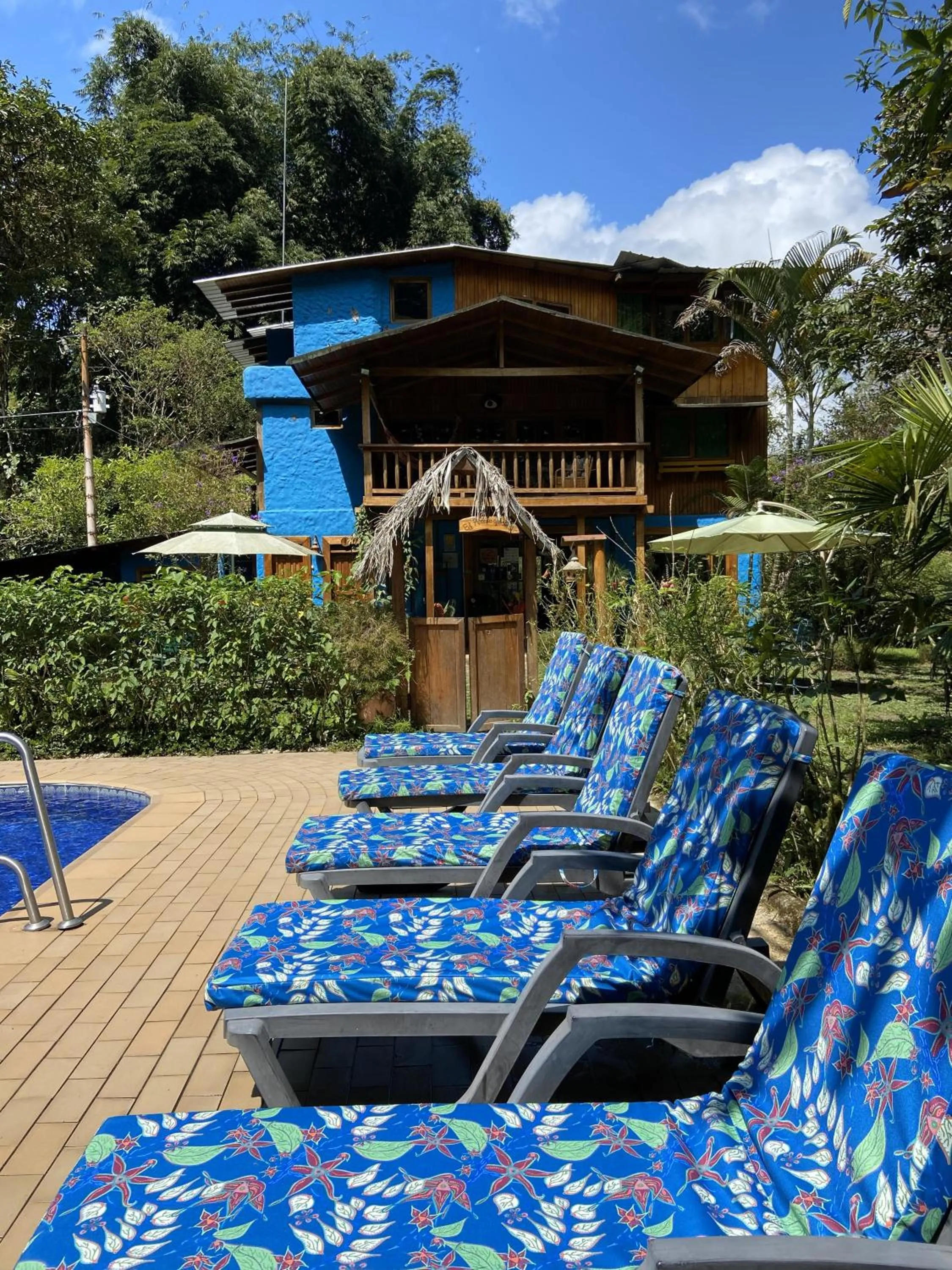 Property building in Hotel El Abrazo del Arbol