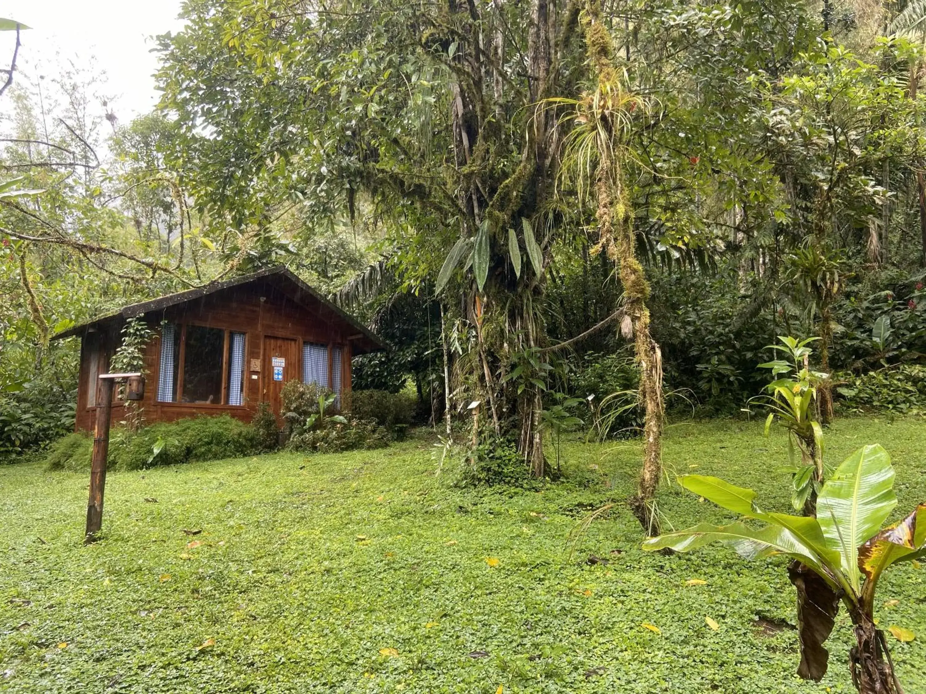 Family Bungalow in Hotel El Abrazo del Arbol Family Bungalow in Hotel El Abrazo del Arbol