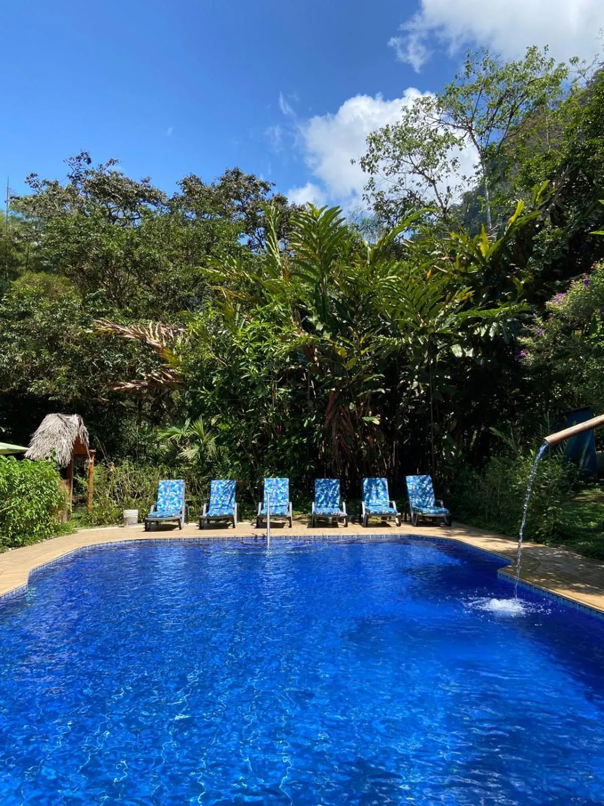 Swimming pool in Hotel El Abrazo del Arbol