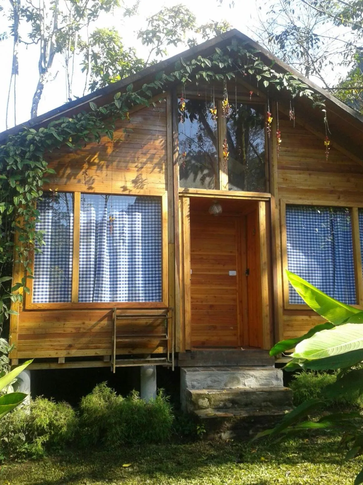 Facade/entrance in Hotel El Abrazo del Arbol