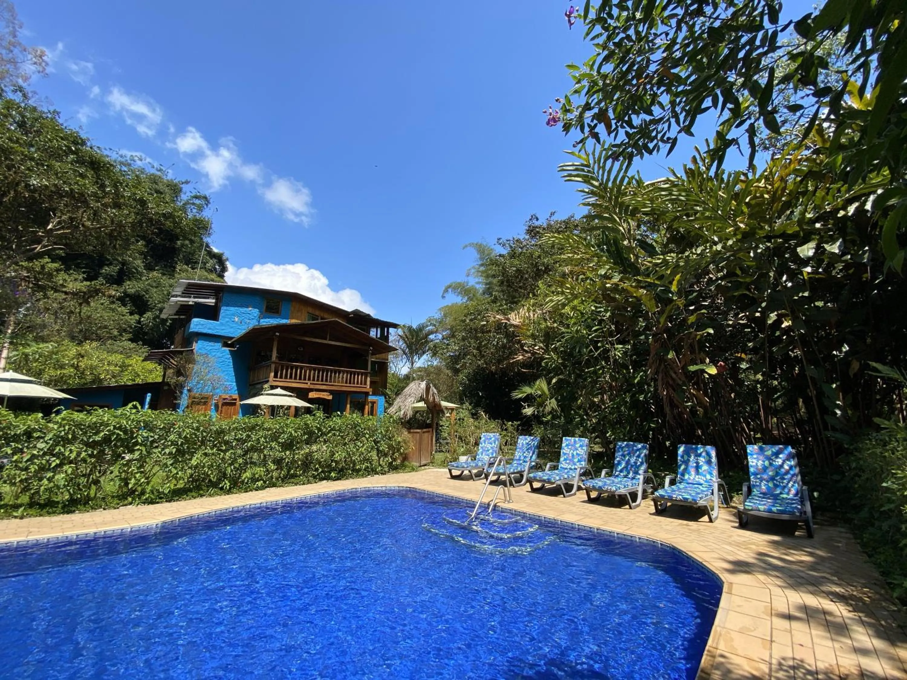 Property building in Hotel El Abrazo del Arbol