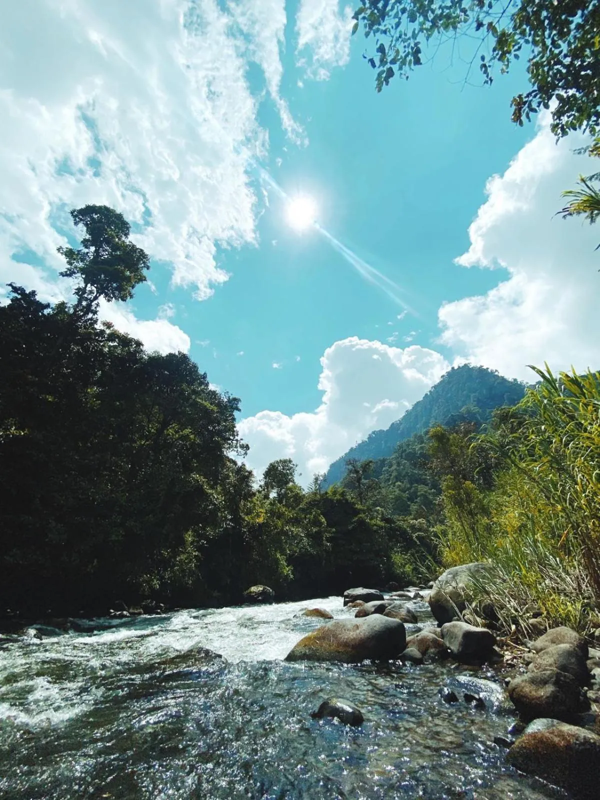 Natural landscape in Hotel El Abrazo del Arbol
