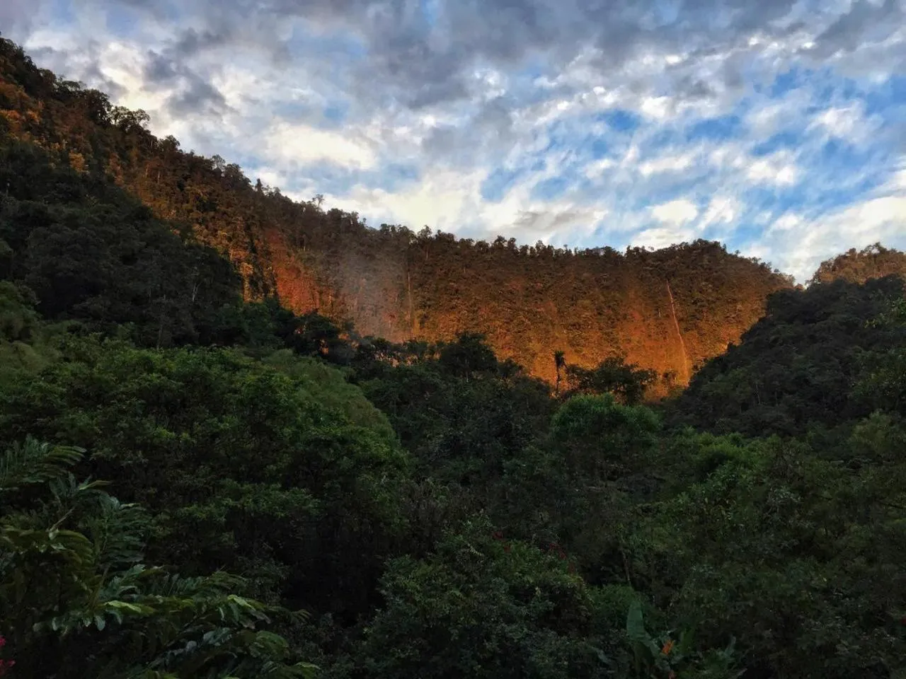 Mountain view in Hotel El Abrazo del Arbol