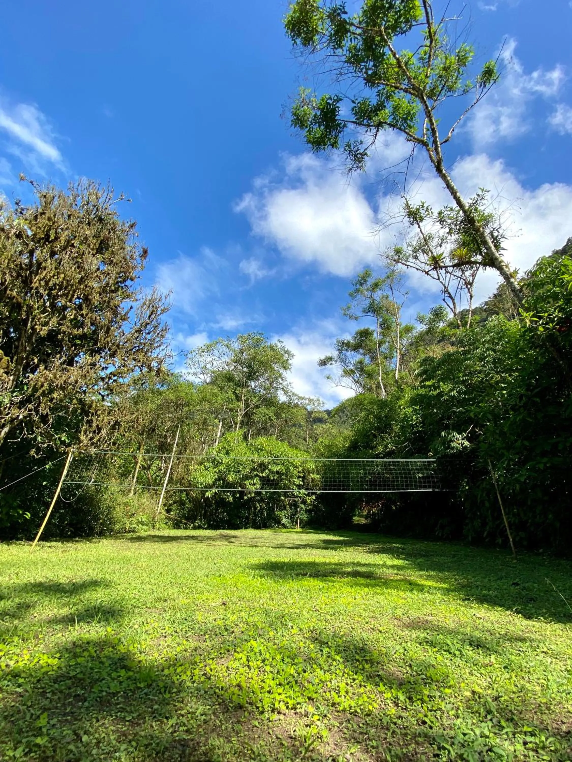 Natural landscape in Hotel El Abrazo del Arbol