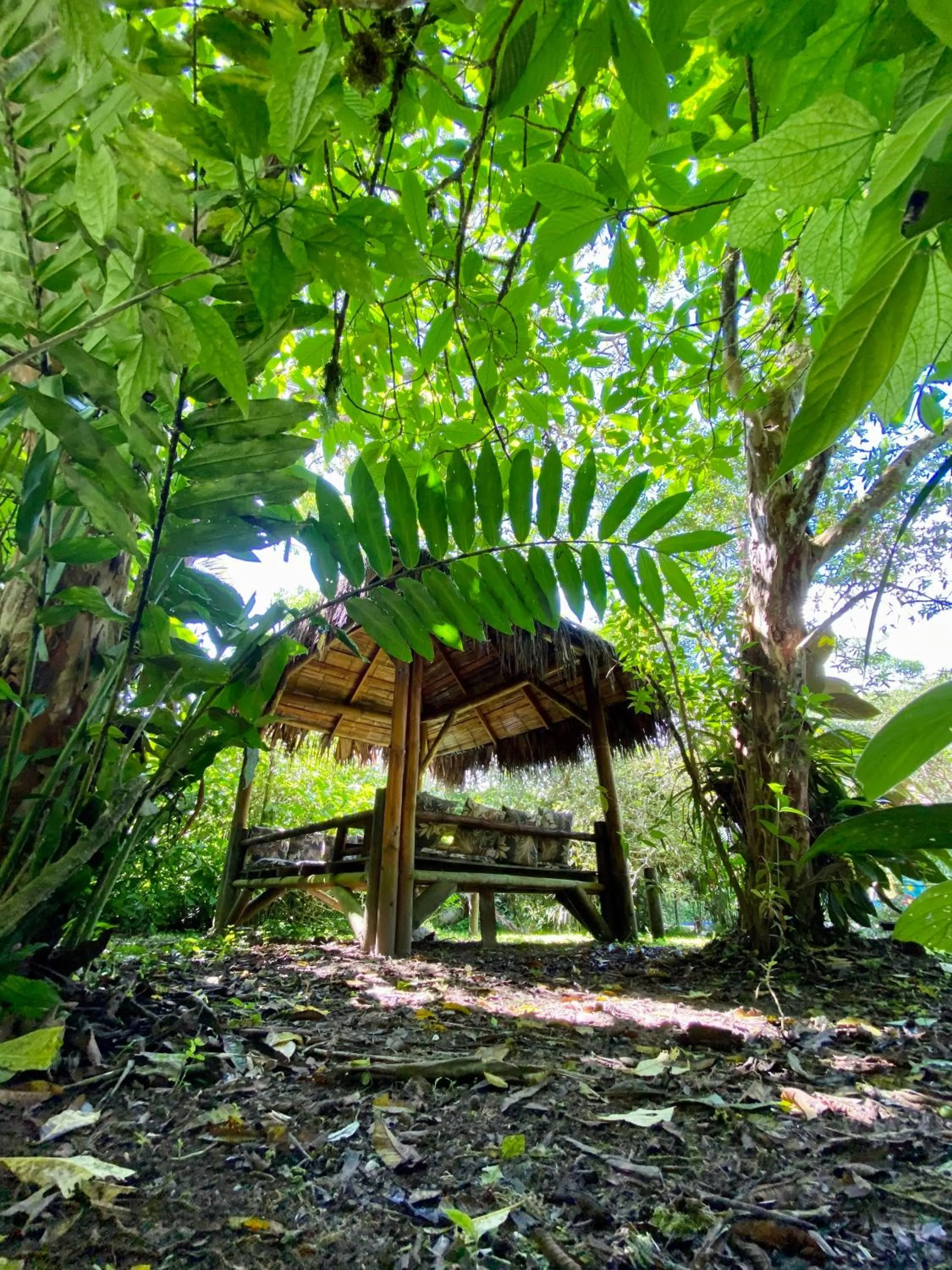 Garden in Hotel El Abrazo del Arbol