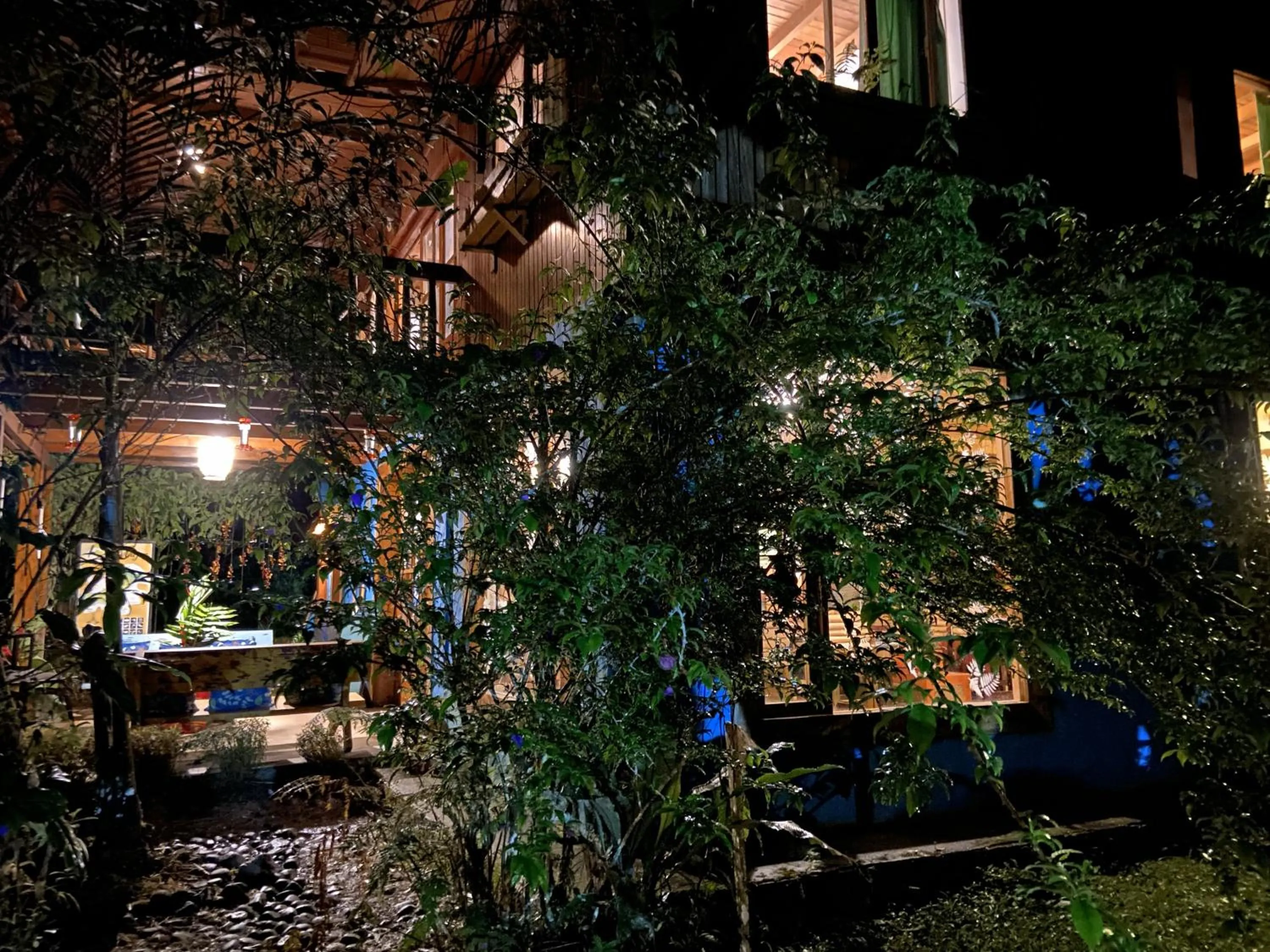 Night in Hotel El Abrazo del Arbol