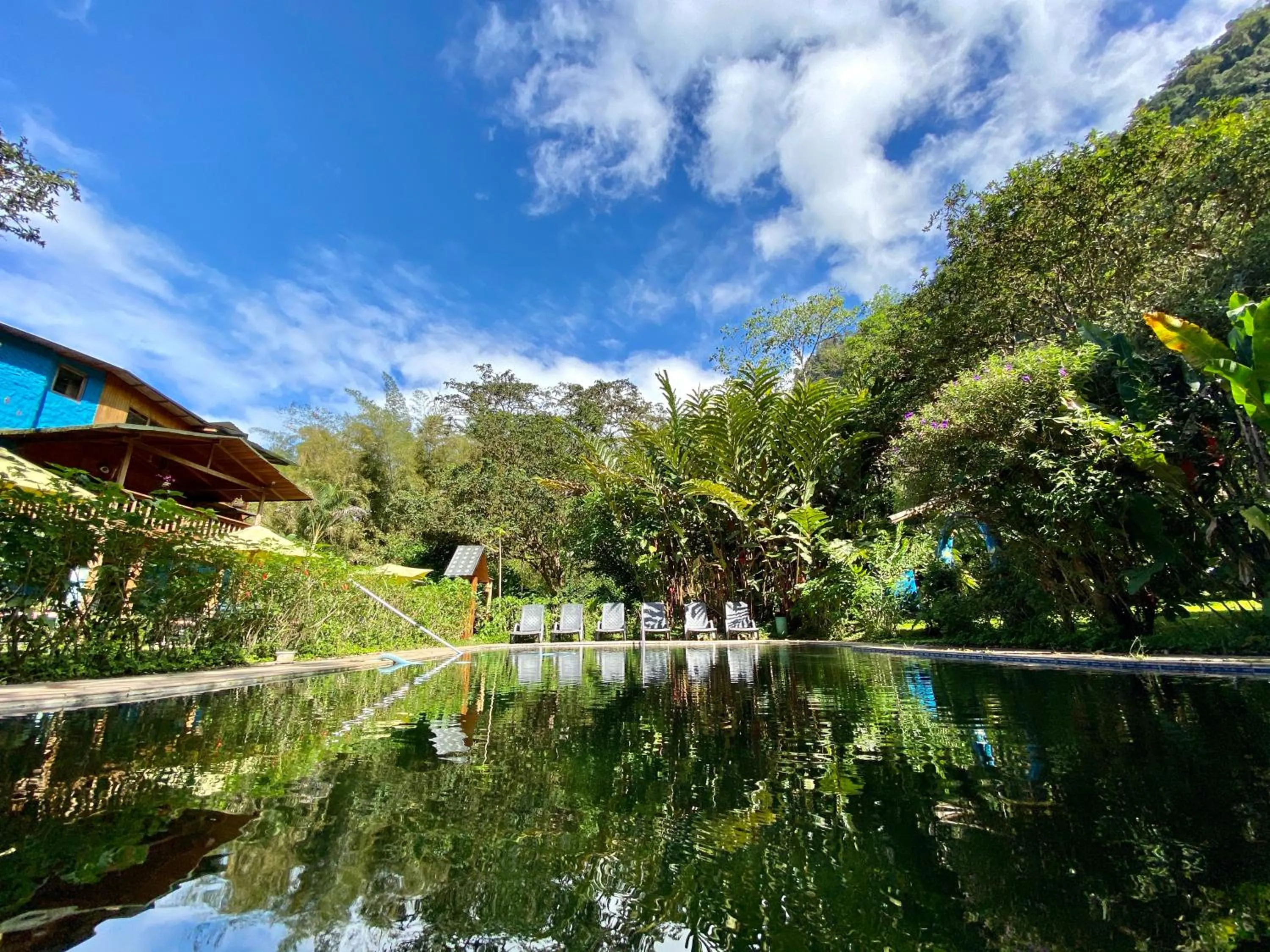 Swimming pool in Hotel El Abrazo del Arbol