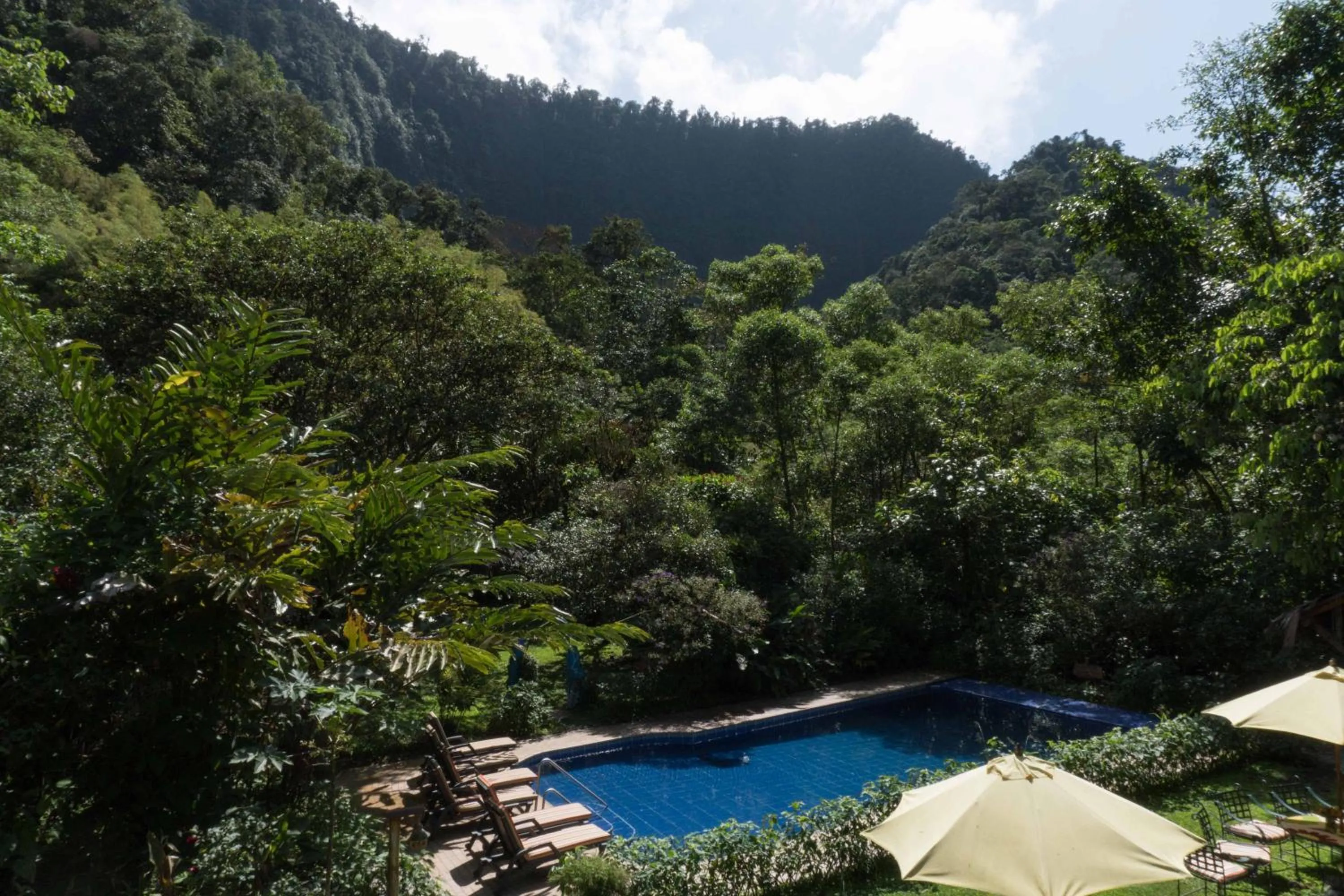 Pool view in Hotel El Abrazo del Arbol