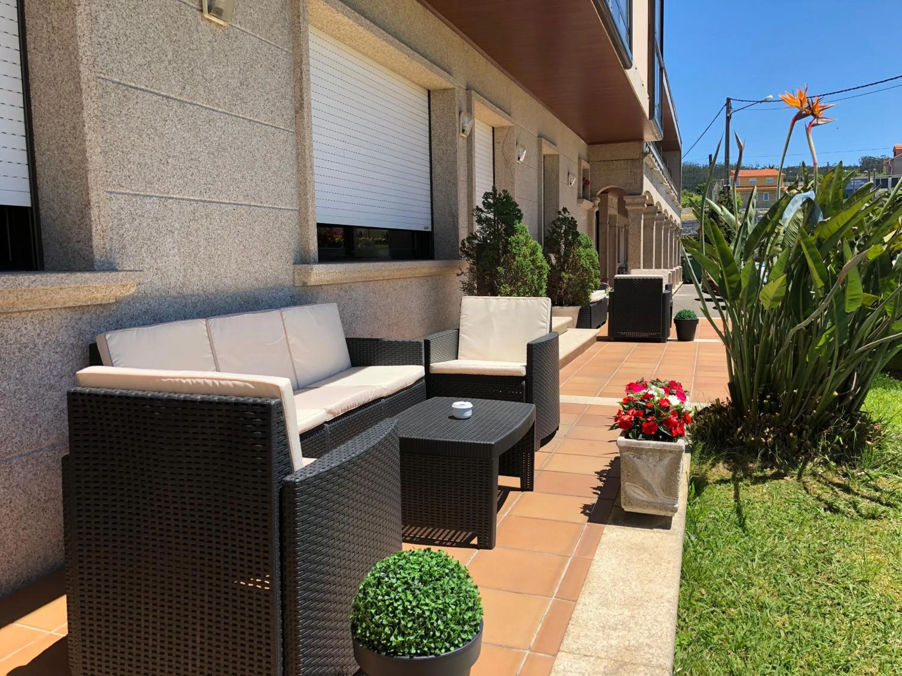 Garden in Hotel Florida