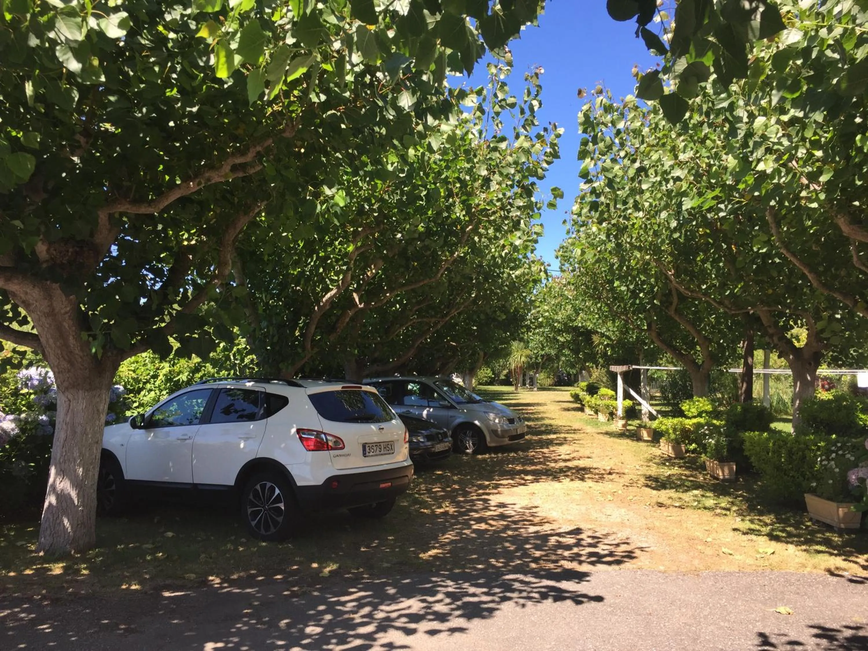 Garden in Hotel Florida