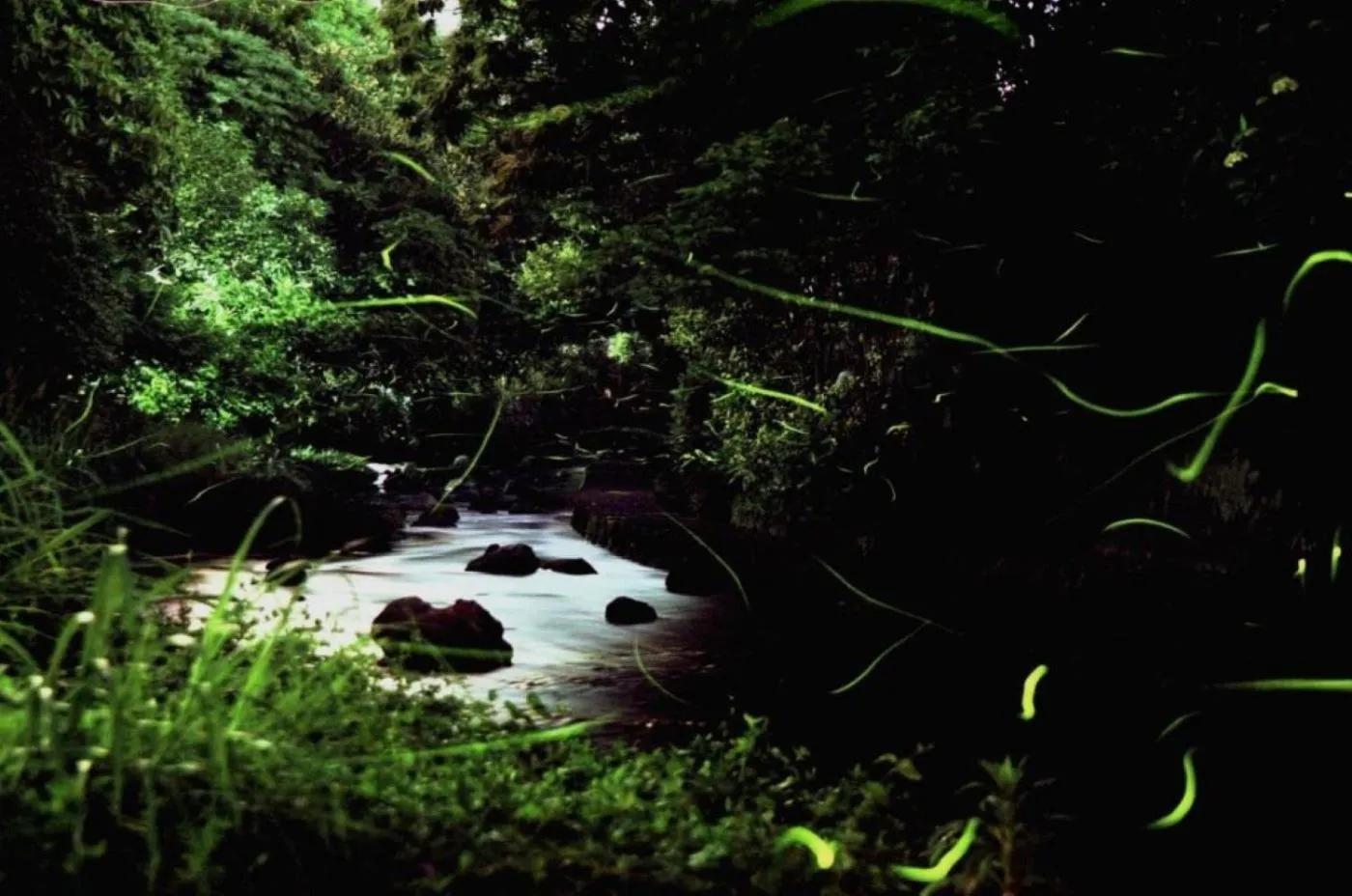 Guesthouse giwa - Vacation STAY 14229v