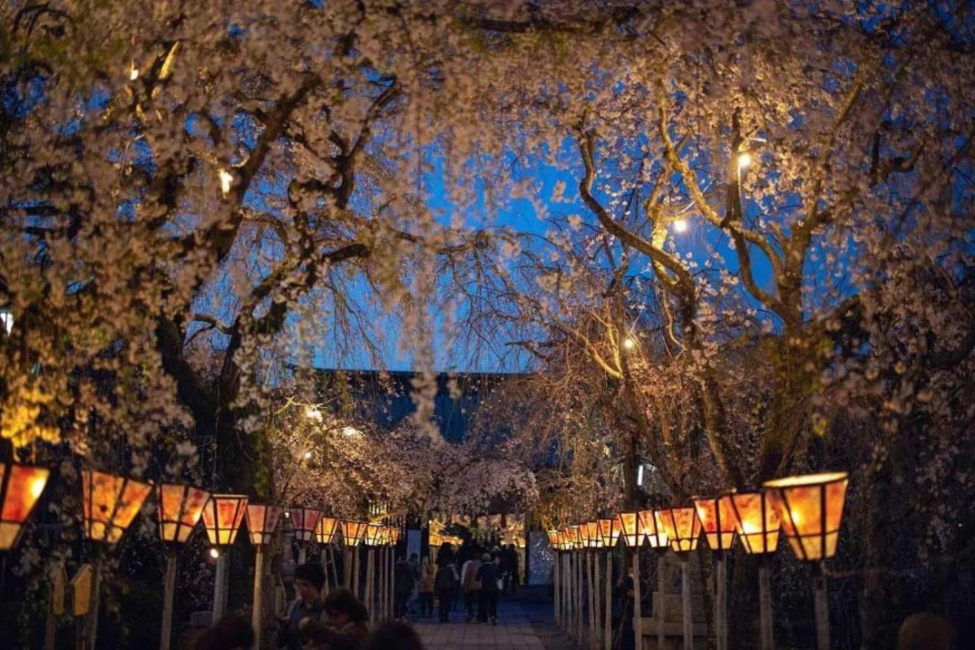 Guesthouse giwa - Vacation STAY 14269v