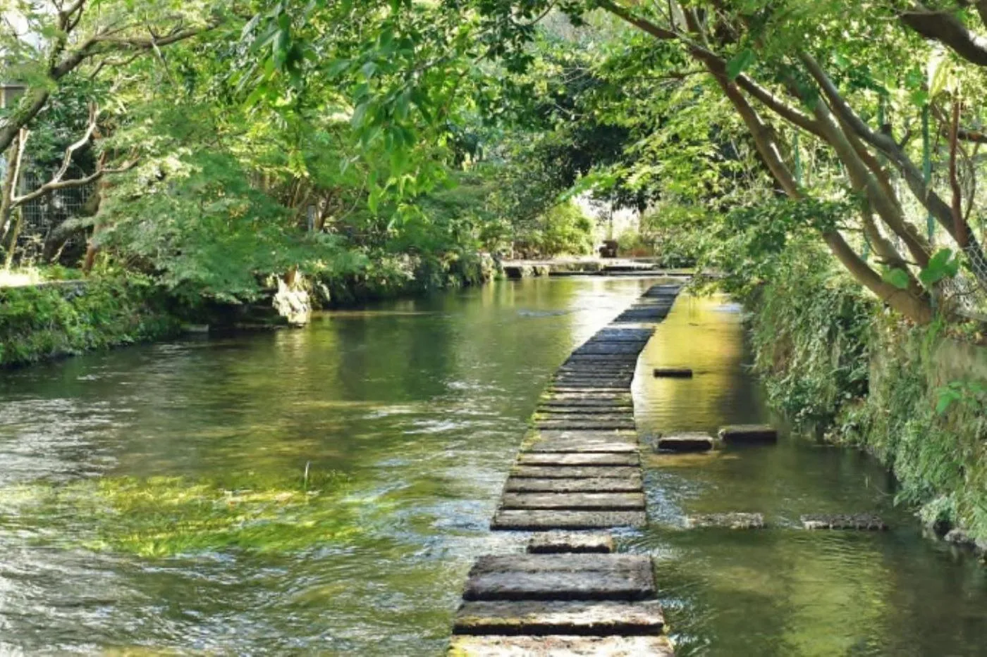 Guesthouse giwa - Vacation STAY 14269v