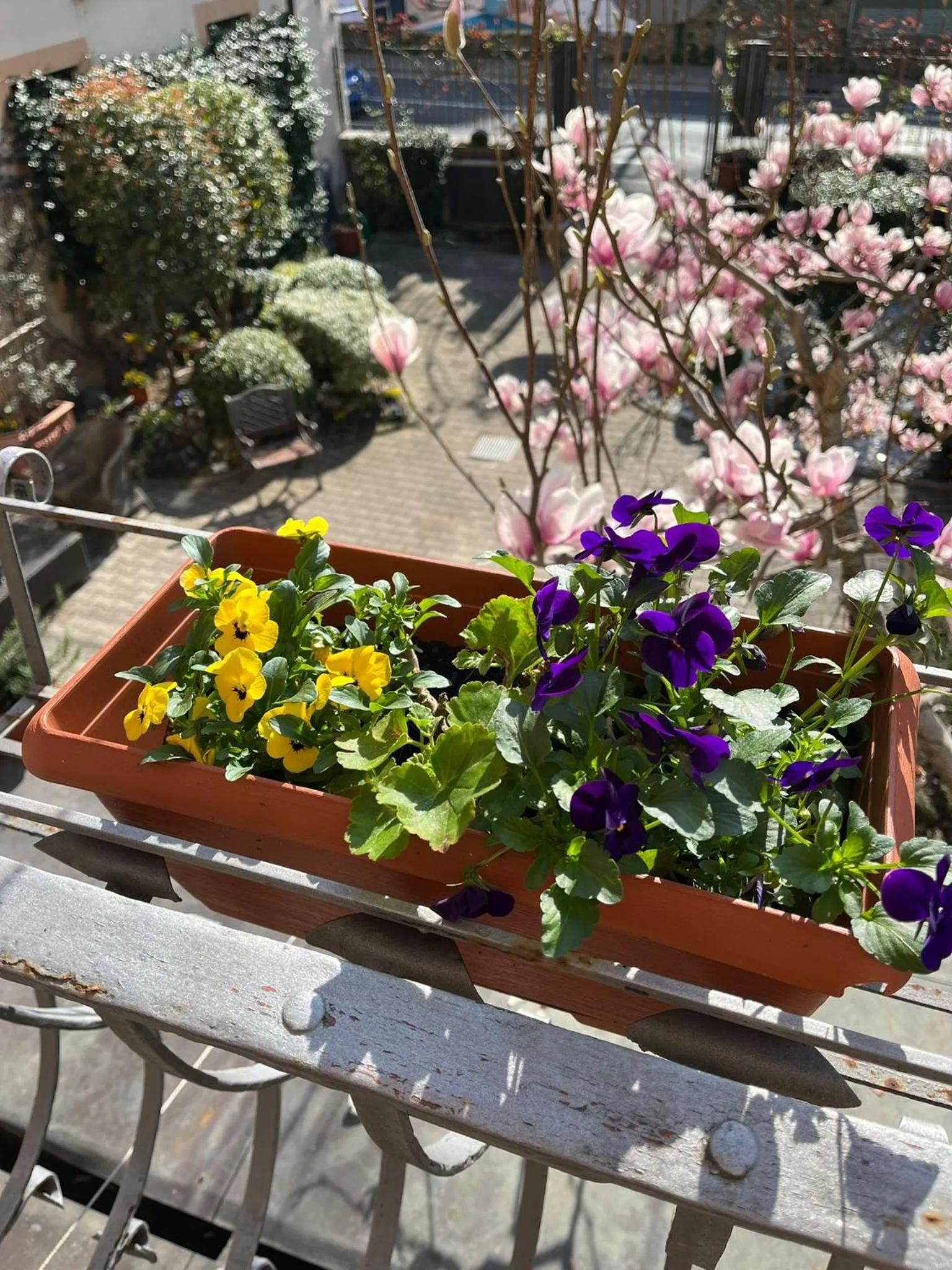 Spring in Hotel Arcobaleno Siena