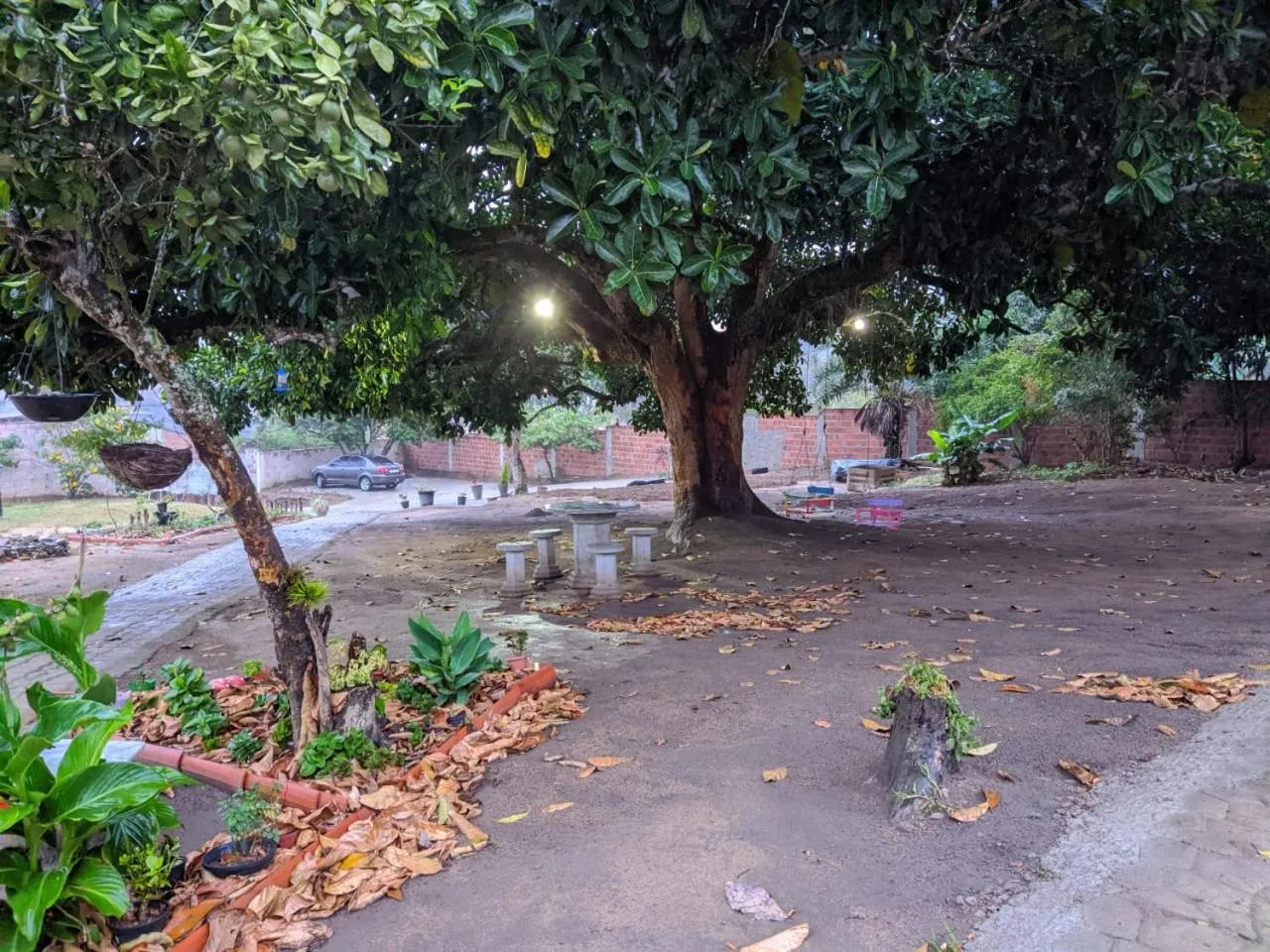 Garden in Pousada Viana