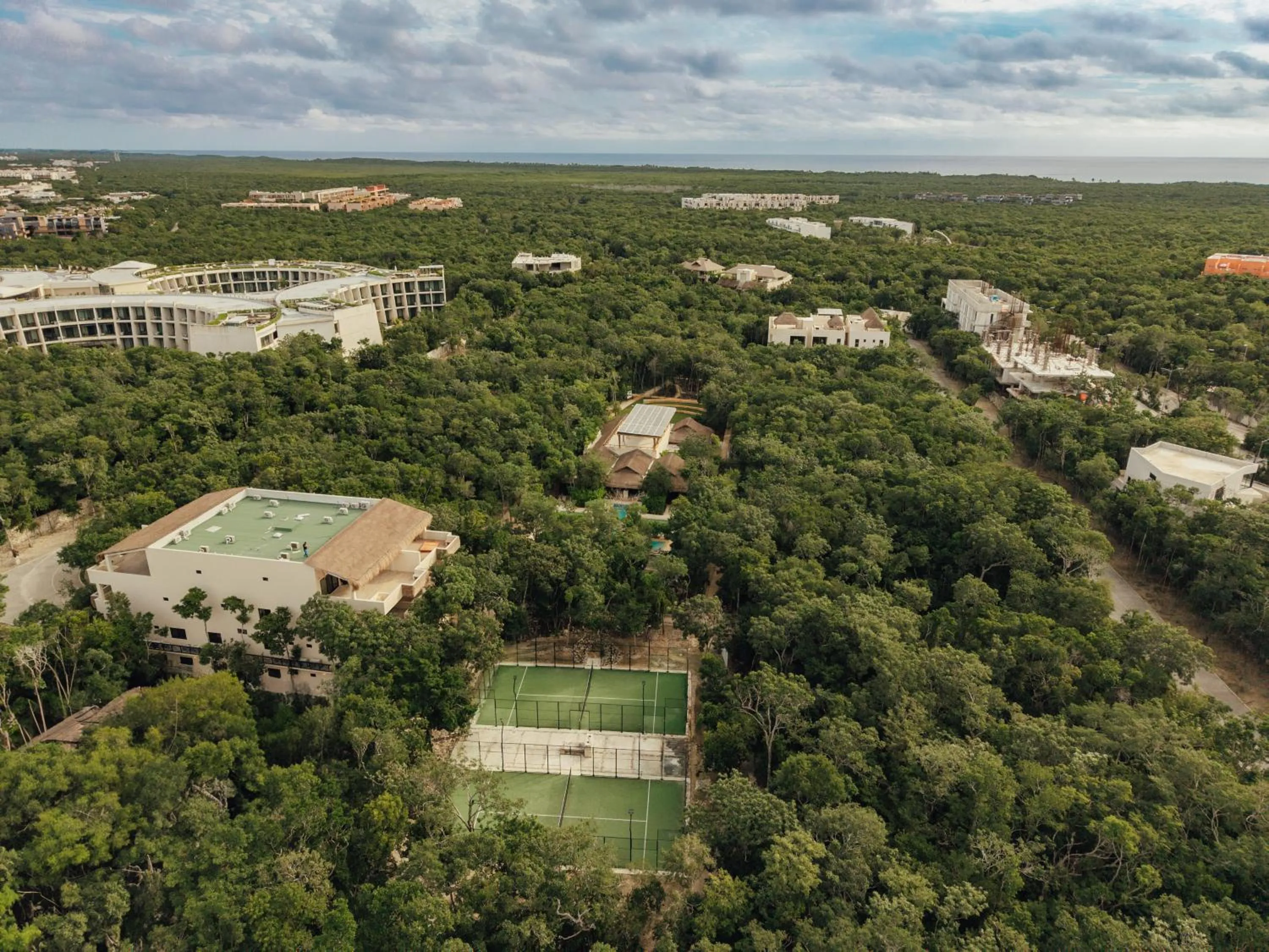 Natural landscape in Lumina at LOSANTOS Tulum