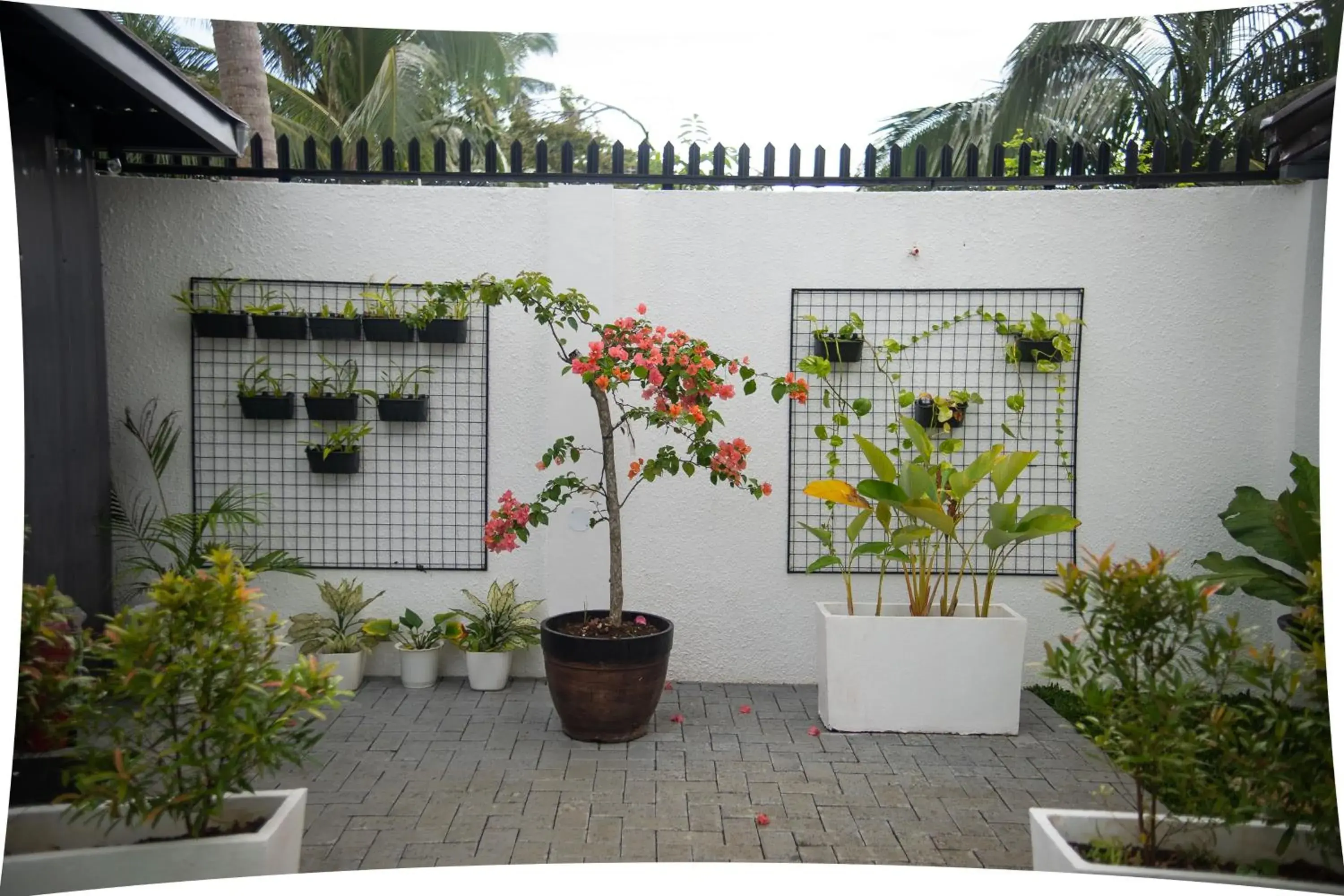 Garden view in Thistle Inn Garden view in Thistle Inn