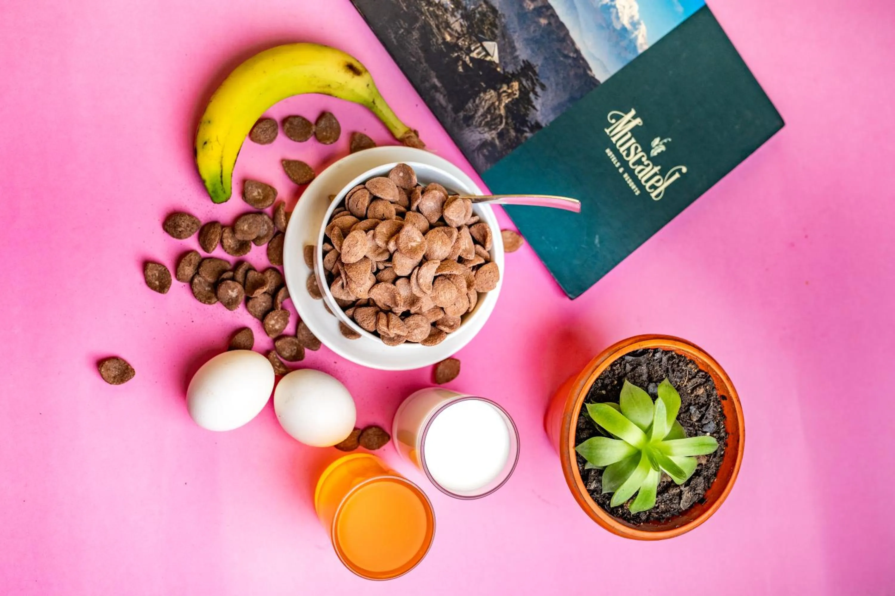 Breakfast in Muscatel Spring Burn - 100 Mts from Mall Road