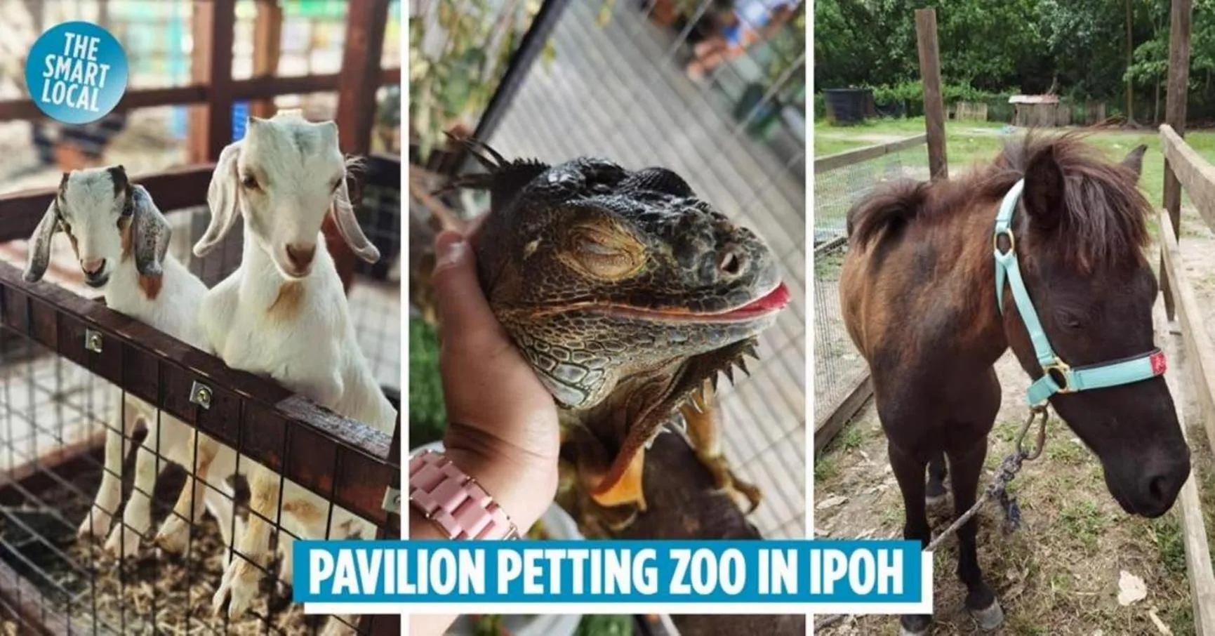 Other in Highway Budget Hotel