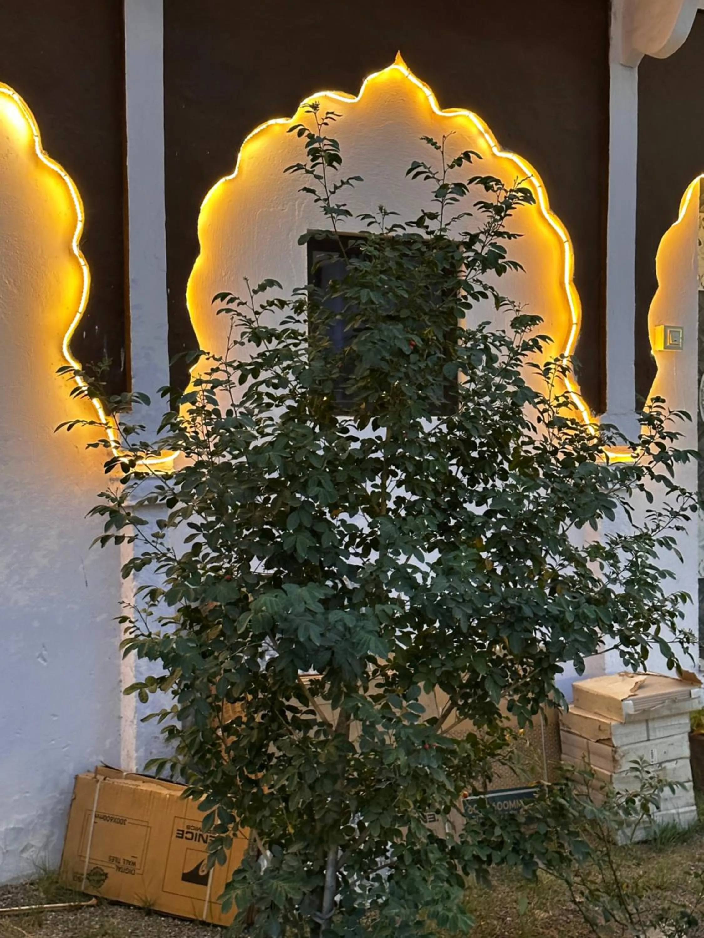 Hotel Kota kunj Heritage