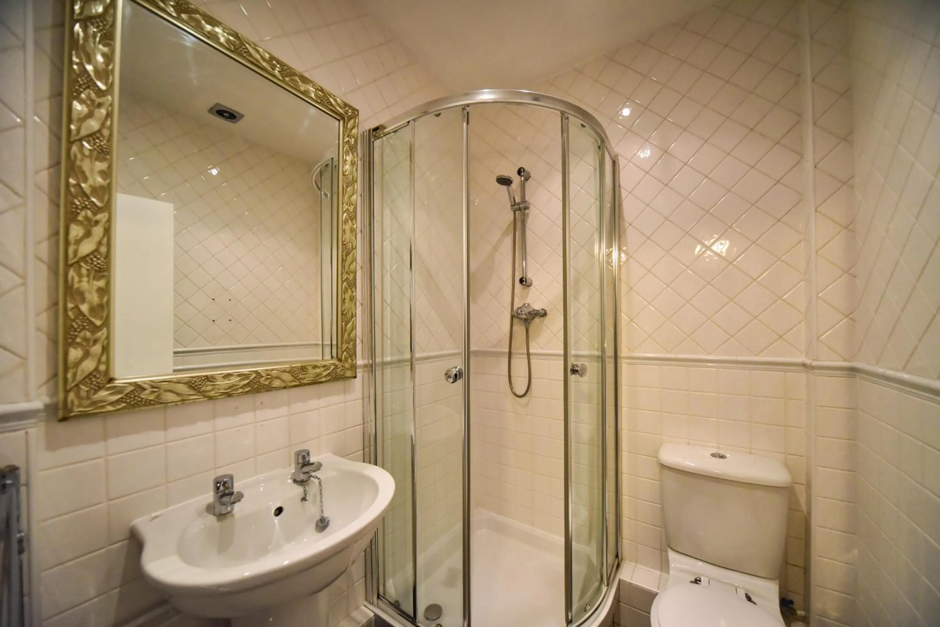 Shower in The Bear Inn