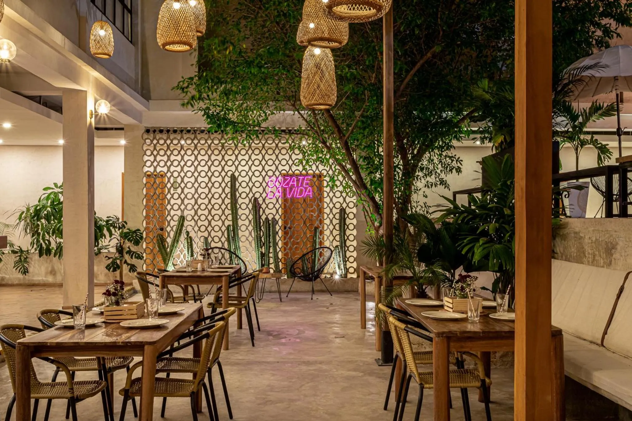 Restaurant/places to eat in Soy Local Santa Marta