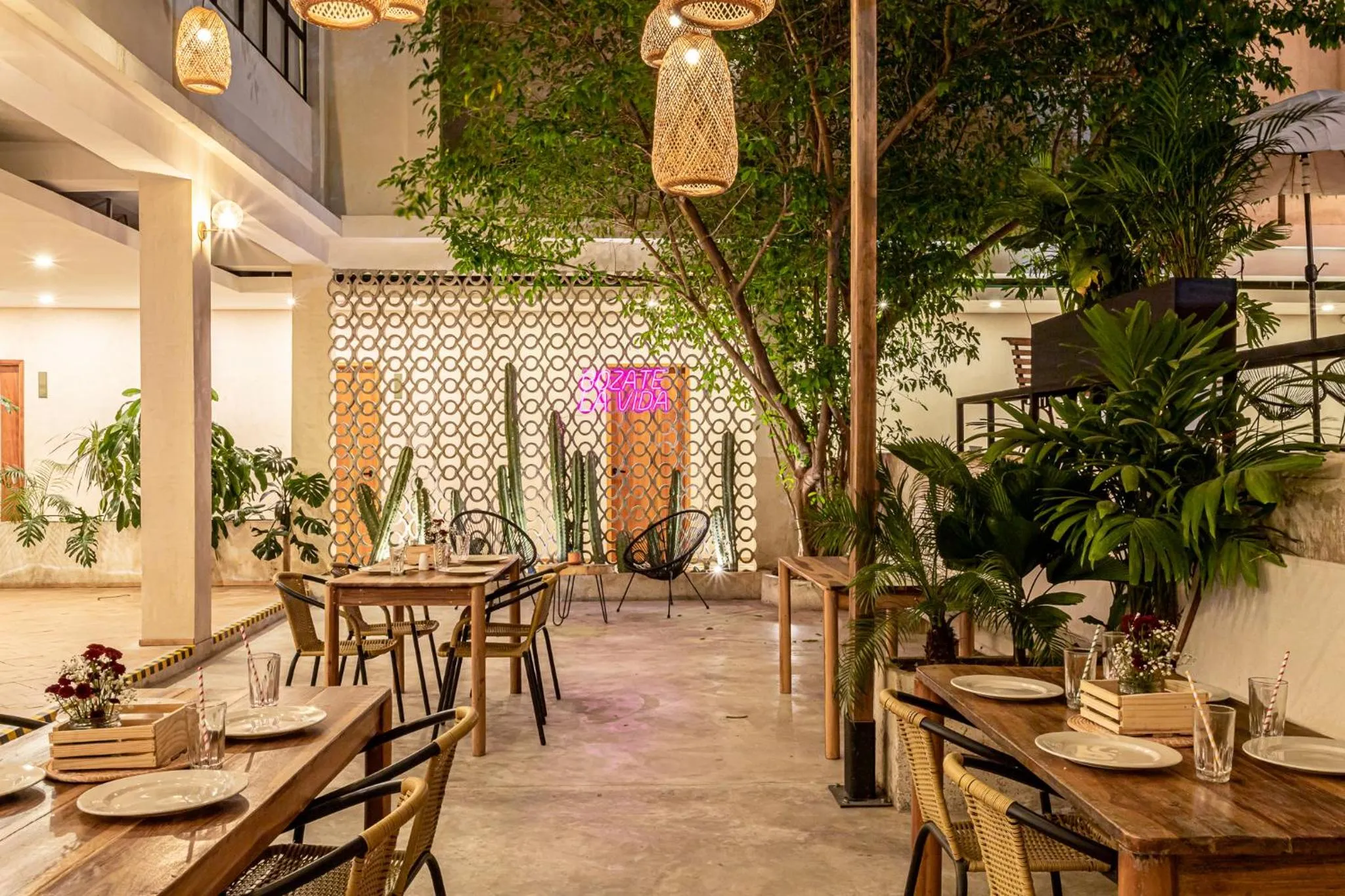 Restaurant/places to eat in Soy Local Santa Marta