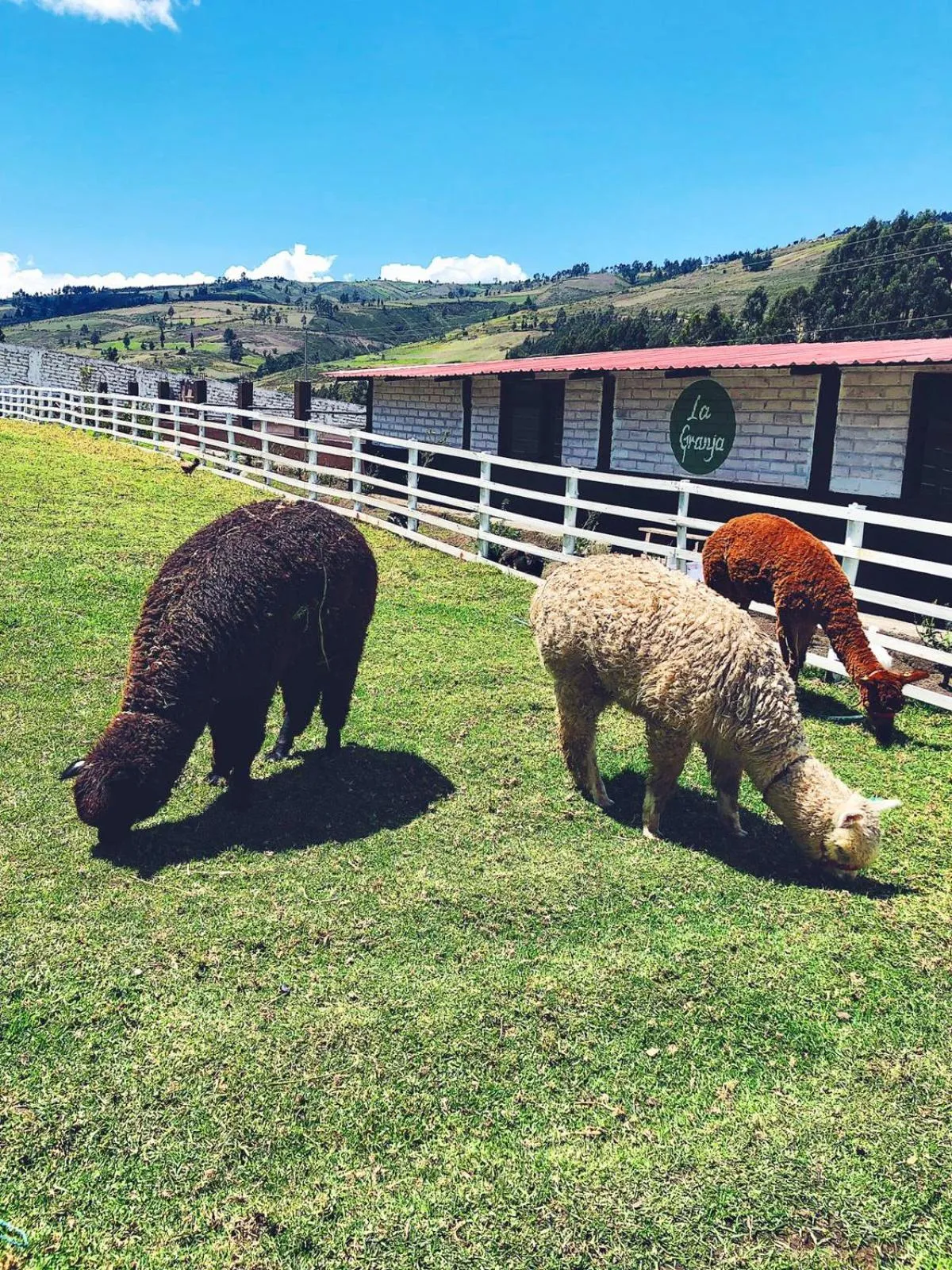 Hacienda Santa Ana Lodging