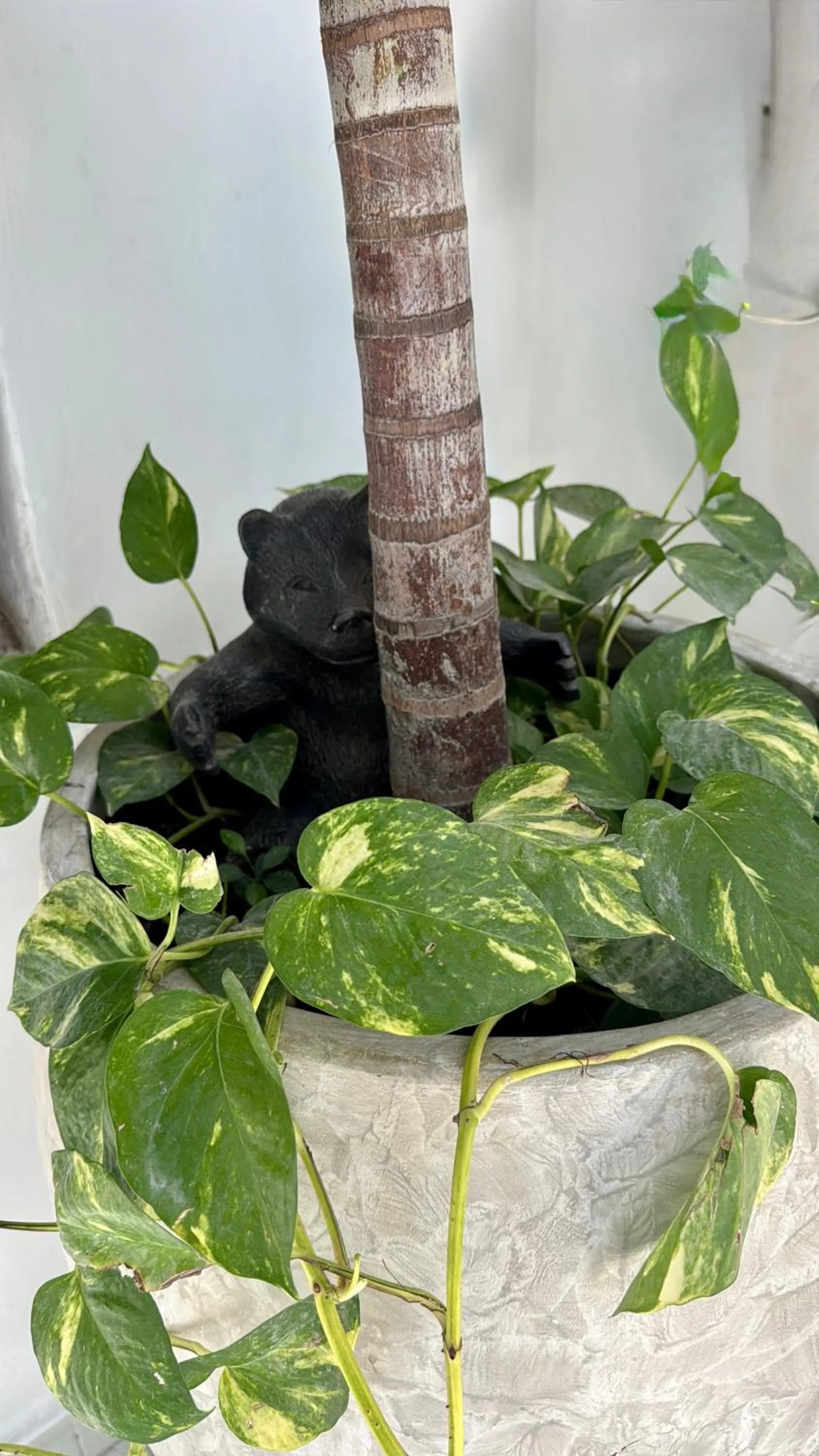 Property building in Comunidad Calle 13 Hotel Boutique