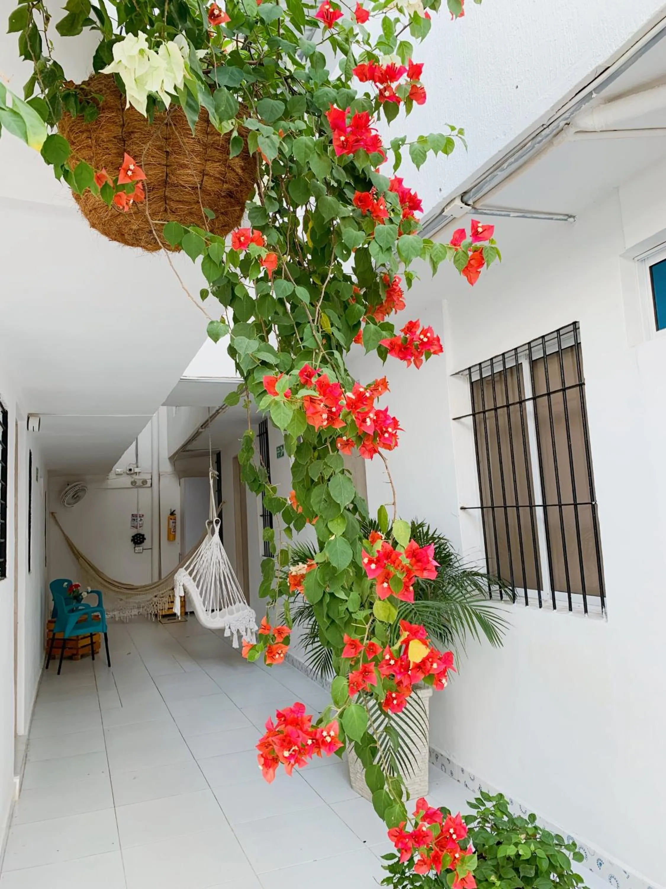 Patio in Comunidad Calle 13 Hotel Boutique