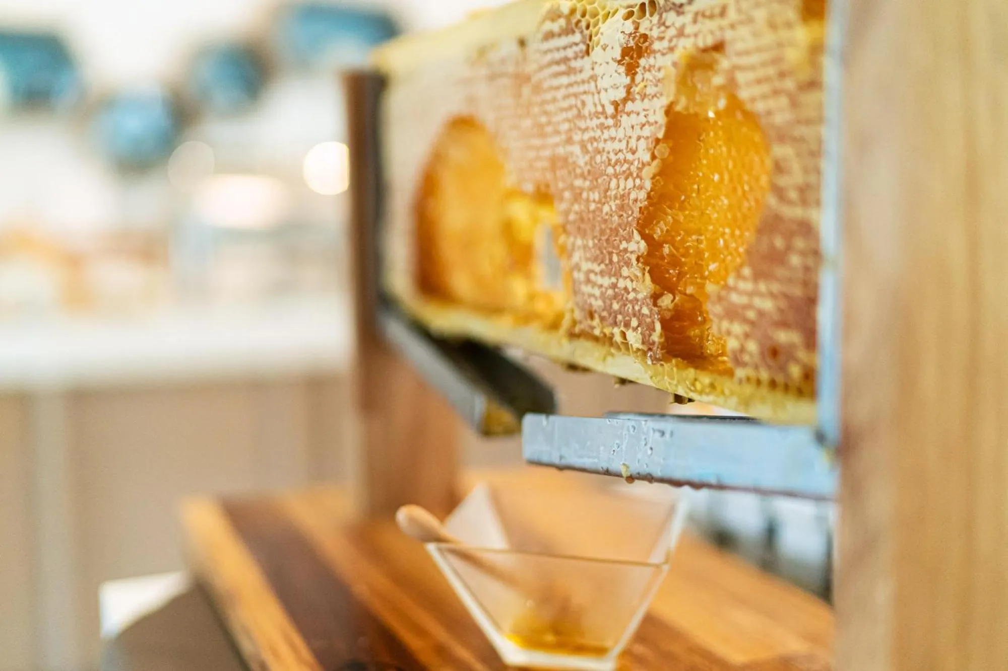 Restaurant/places to eat in Isola di Albarella Hotel Capo Nord