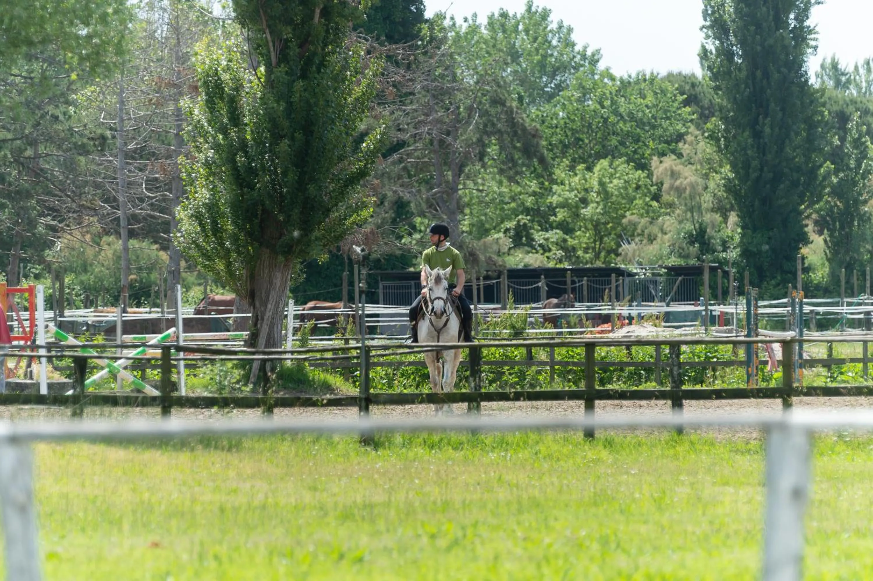 Horse-riding in Isola di Albarella Hotel Capo Nord