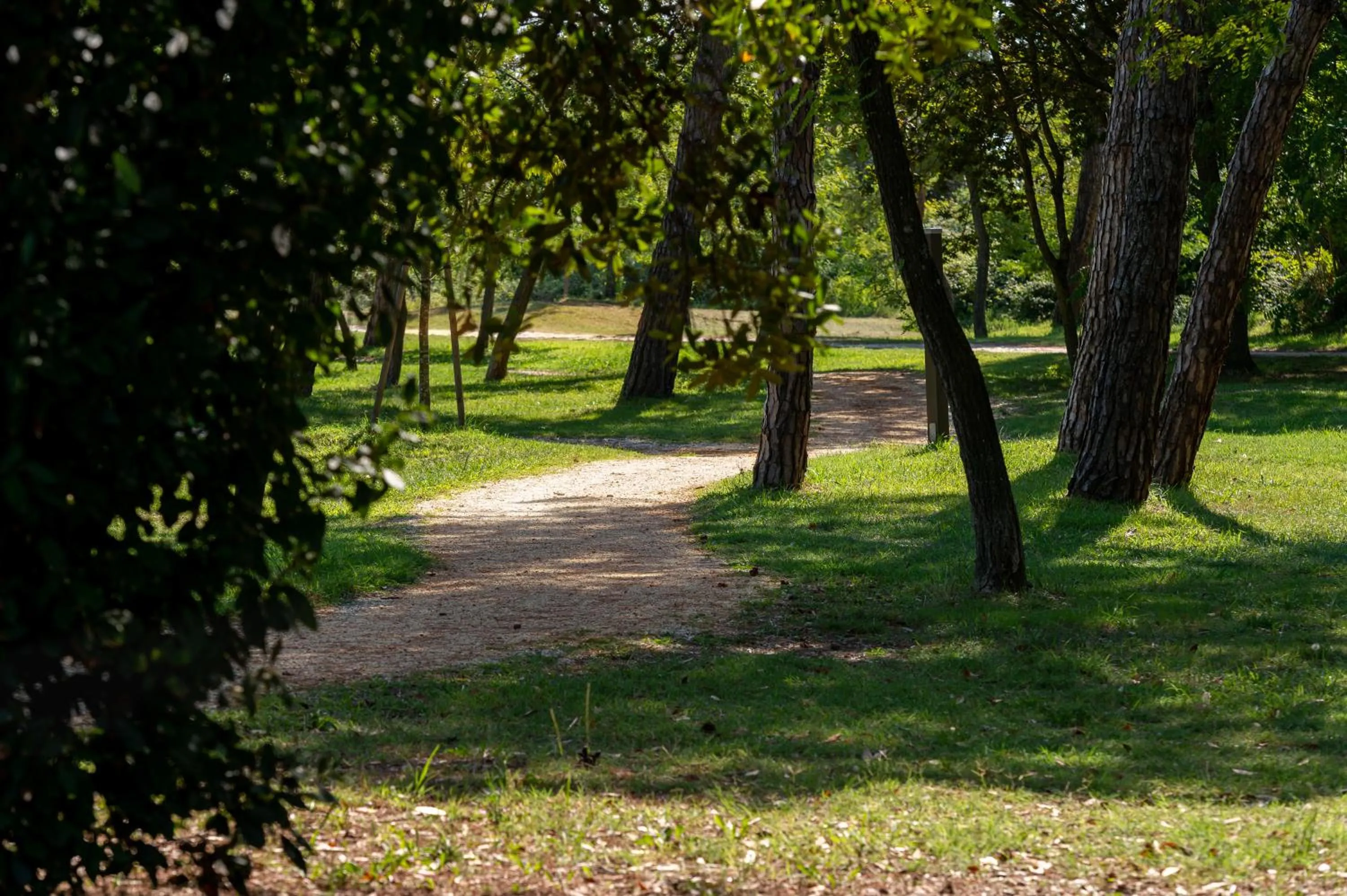 Garden in Isola di Albarella Hotel Capo Nord